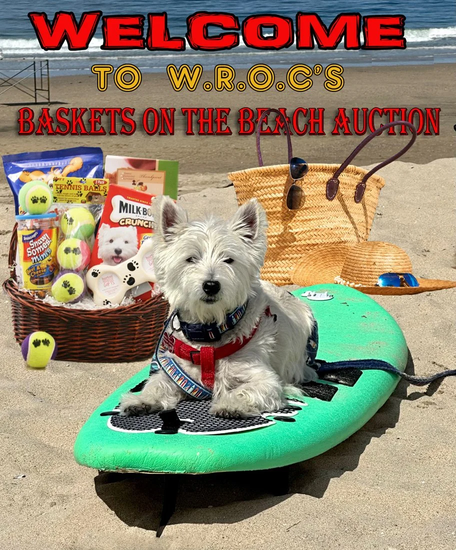 Baskets at the Beach Facebook Auction