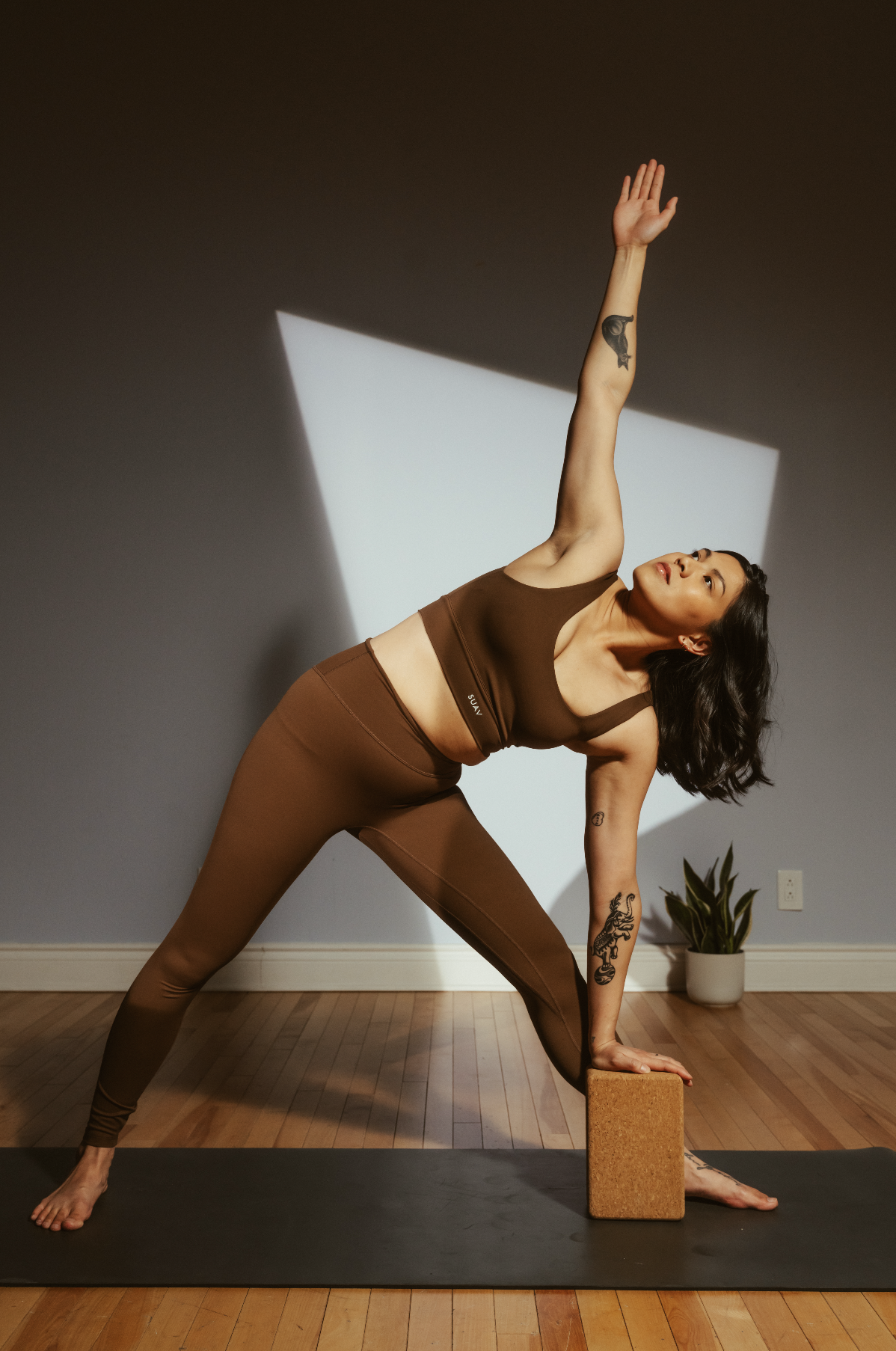 Yoga thérapeutique personnalisé, gestion du stress et anxiété, Mont-Saint-Hilaire