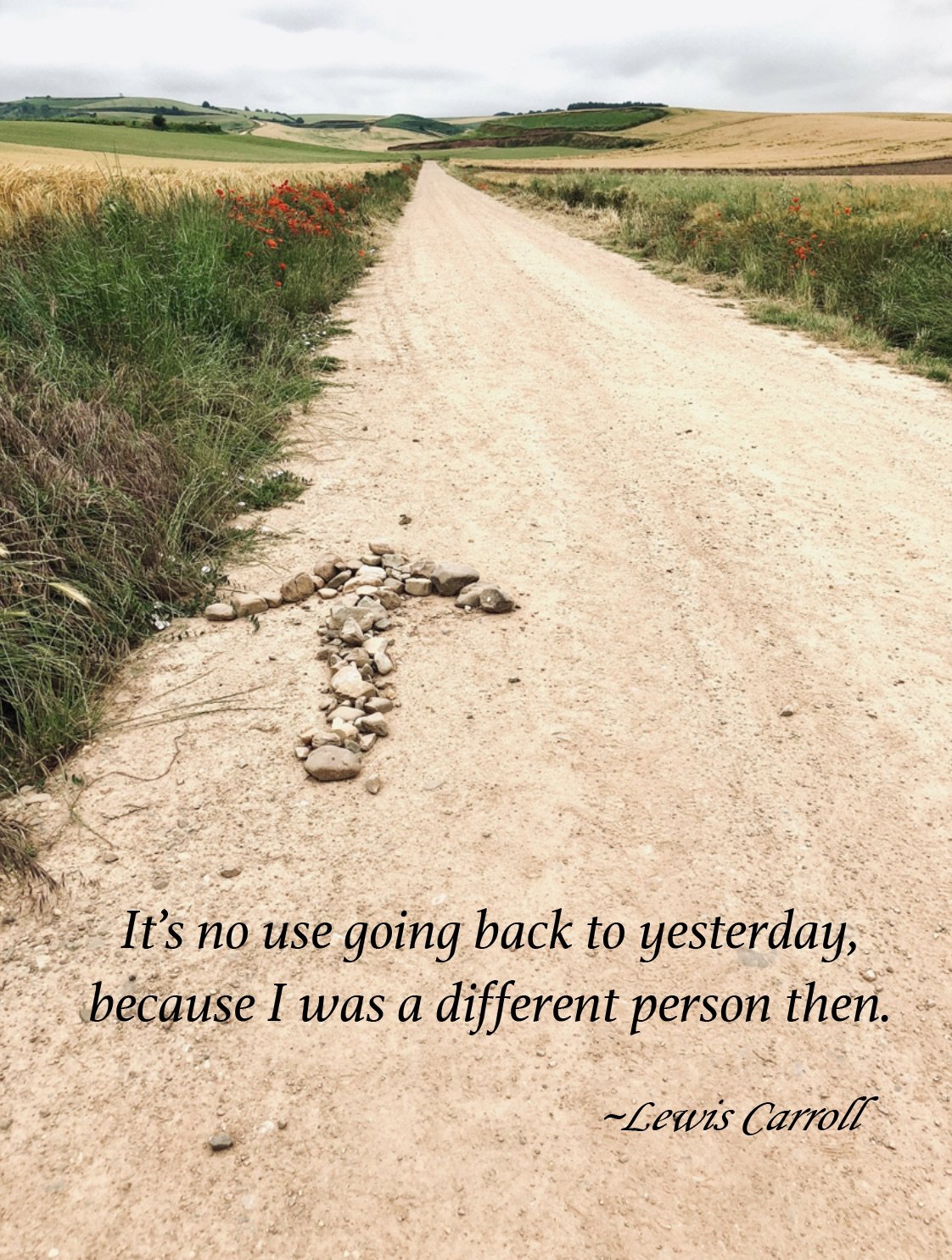 L.Carroll.Quote 2.jpg