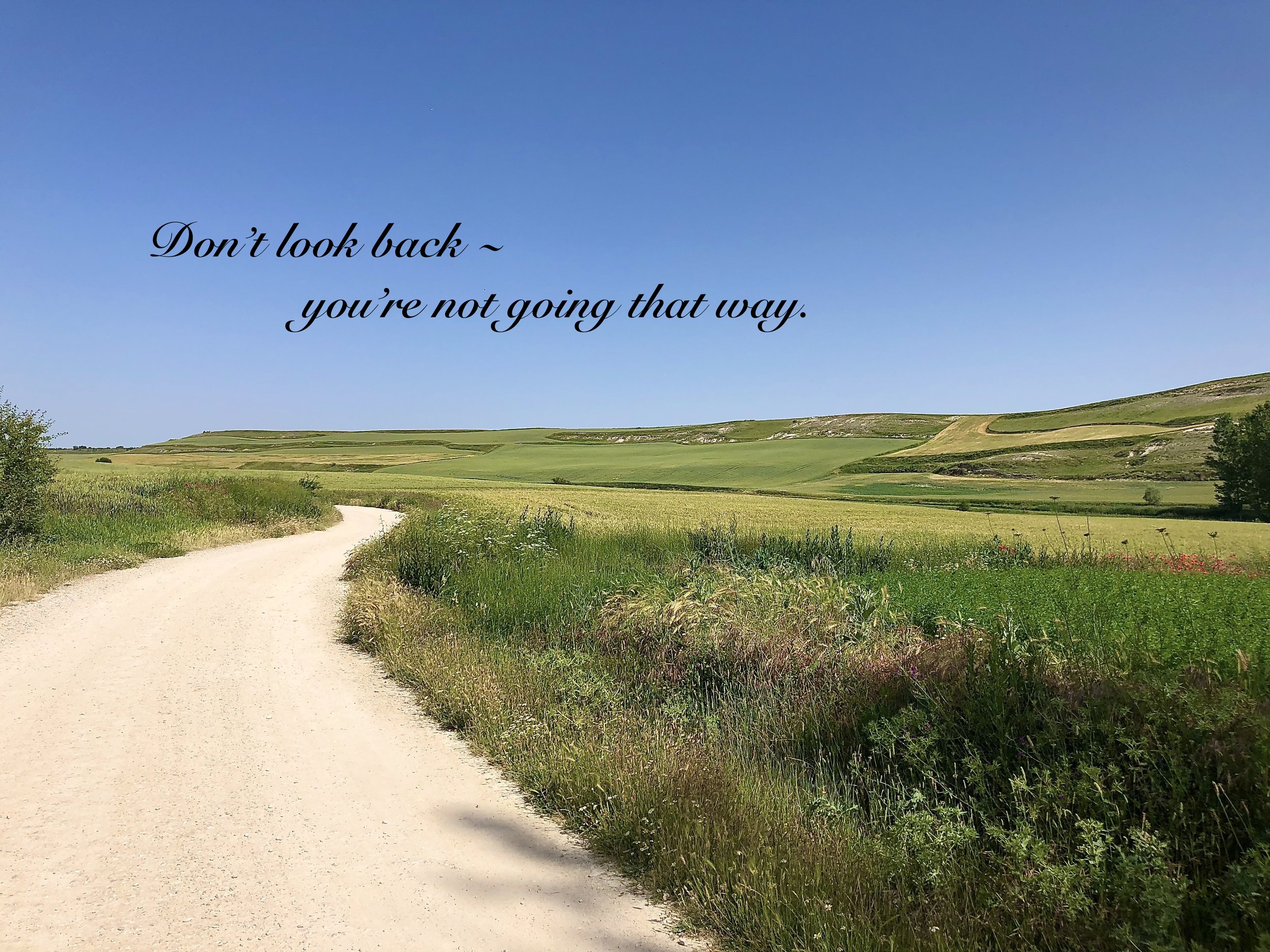 Don'tLookBack copy.jpg