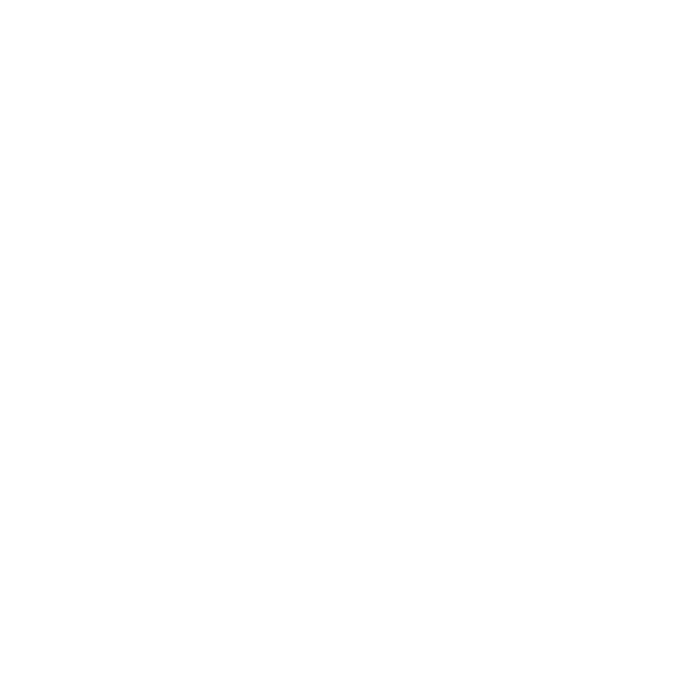 Chop_N_Block_Logo_Reveresed.png