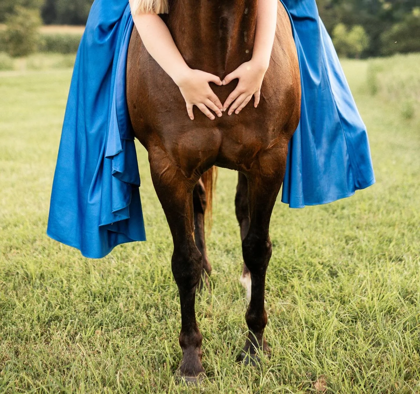 Sending out some love this Christmas Eve 🤍🎄
May today be gentle, joyful, and wrapped in the people (and animals) you love most.

Second shot for @bgyphotograph 

. . . 
#ChristmasEve #HolidayLove #EquestrianLife #HorseLove #SendingLove