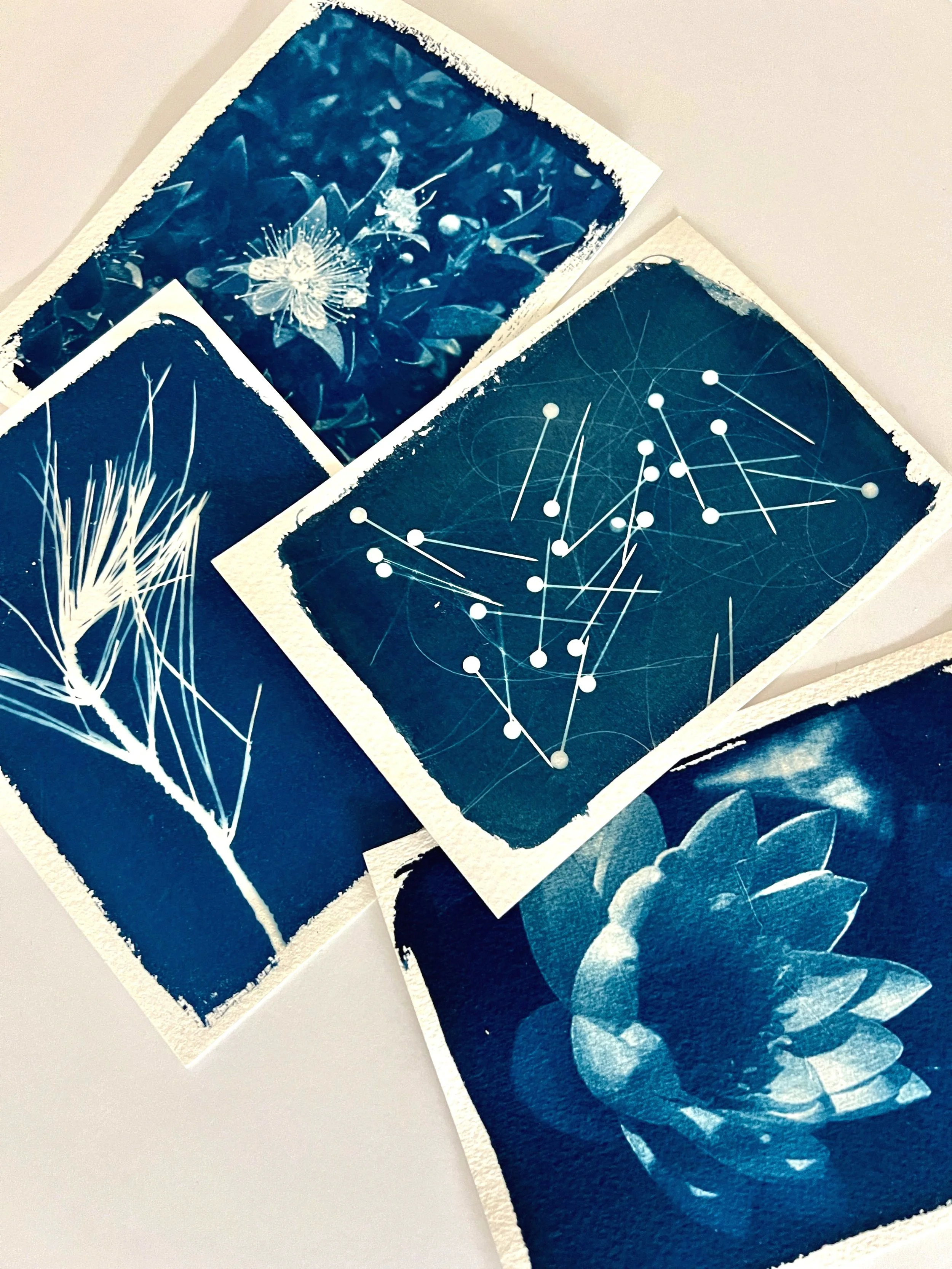 Cyanotype Printing