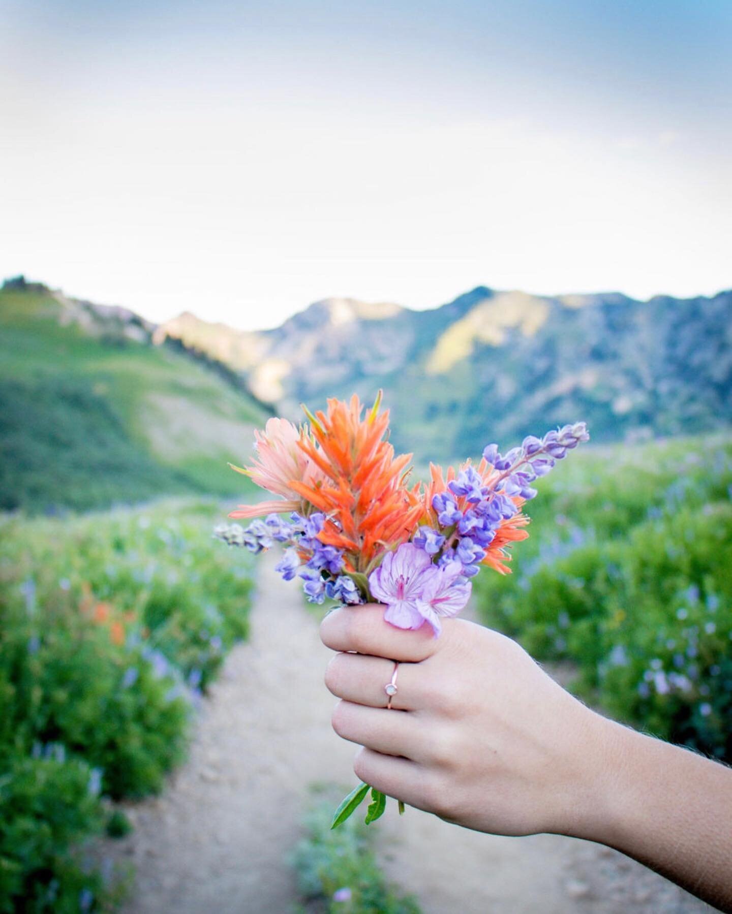 Spring is finally here! 

📷: @kristenlawphotography 

To make a booking, email us at: esther@engenhusutah.com

Or call Esther at: +1 (336) 793-7000

www.engenhusutah.com

#engenhus #spring #saltlakecity #utah #bedandbreakfast #exploreusa #relax #the