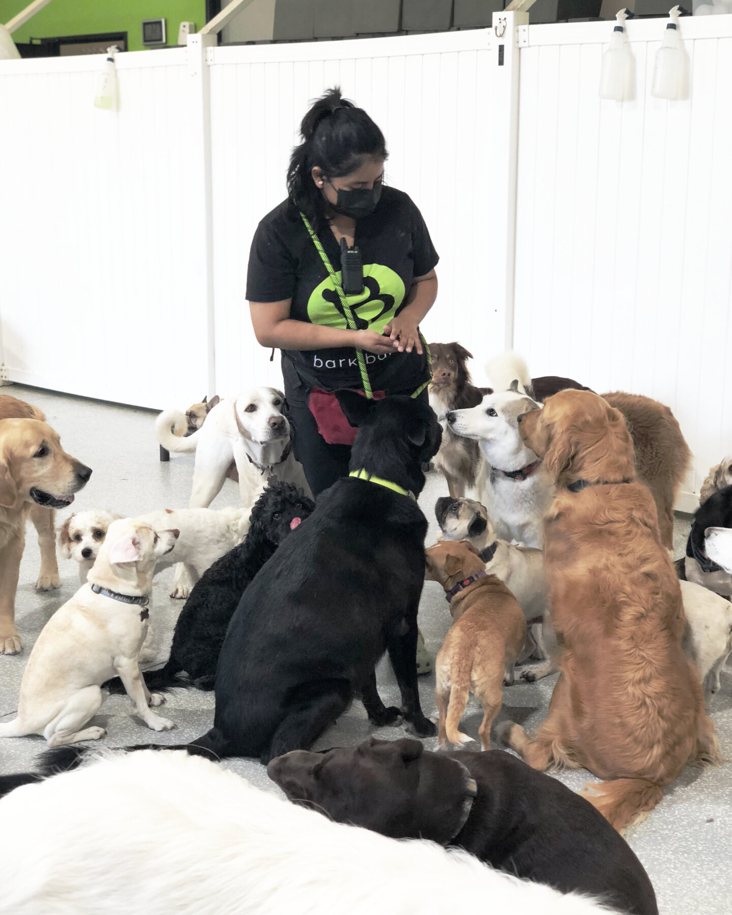 Practice makes pawfect! 

When it comes to dog daycare, there are a lot of benefits to teaching your dog the sit command. 

For one, it helps them to stay calm and focused while they are around other dogs. It also helps to keep them from jumping up o