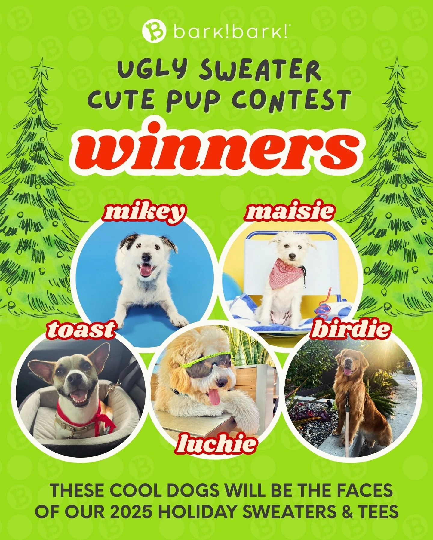 We&rsquo;re barking with excitement to share that 5 cool dogs have officially been crowned the winners of the bark! bark! 2025 Ugly Sweater Contest! 

What They Win:
Their adorable mug on our holiday sweater &amp; t-shirt line 
A FREE sweater + holid