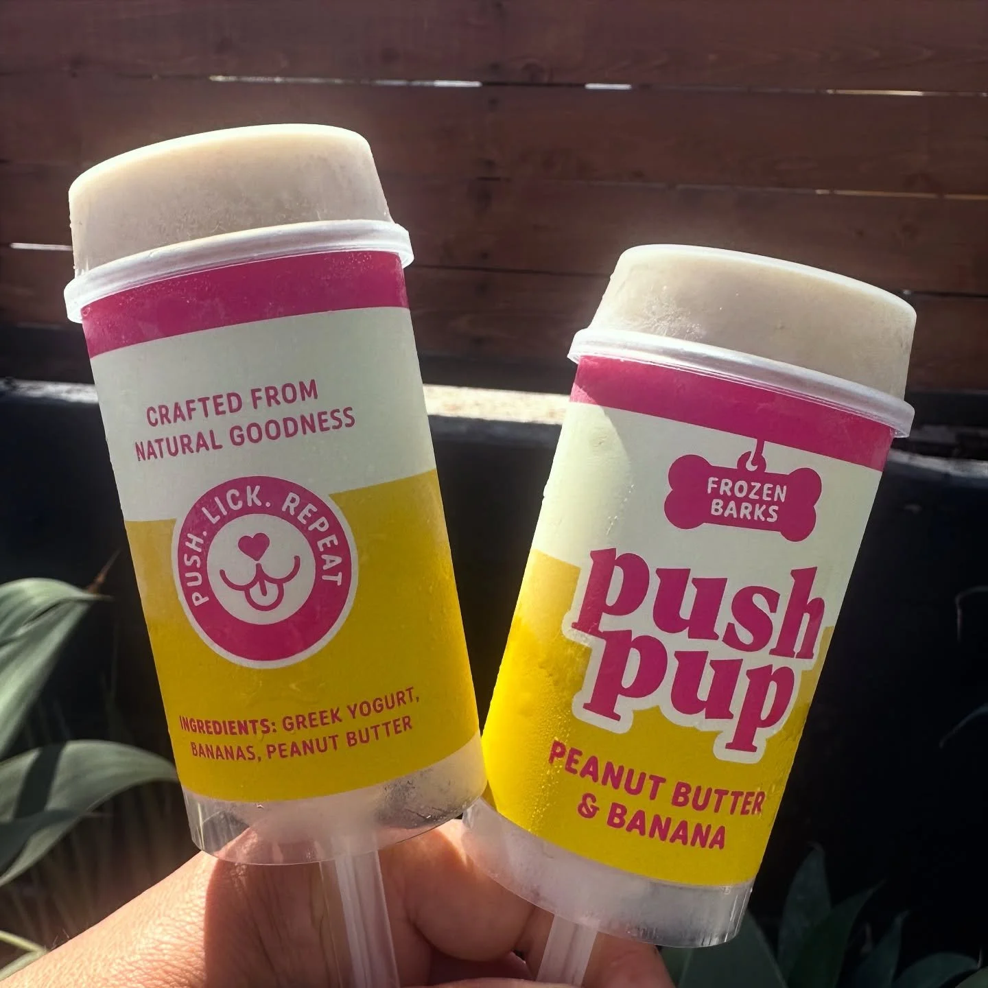 It&rsquo;s going to be a warm one this Sunday! Cool your pup down at the Belmont Shore Car Show with a Frozen Barks Push Pup. Swing by our booth from 9am&ndash;3pm and treat your cool dog to some tasty goodness. #pushlickrepeat #pushpup #dogtreats #d