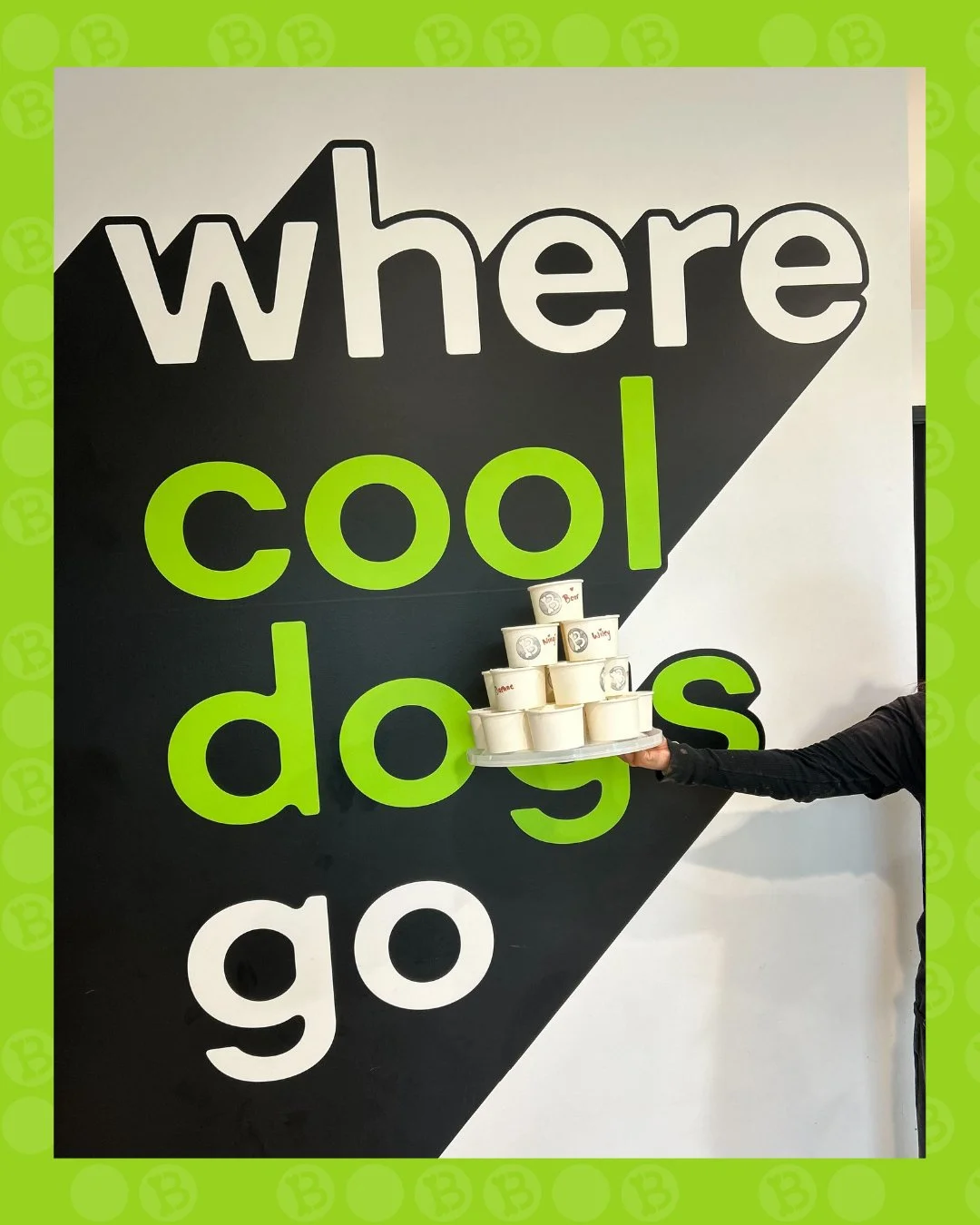 POV: you drop your dog off for daycare and they&rsquo;re out here ordering pupachinos like they pay rent. ☕🐶

At bark! bark!, we take treat time very seriously. Extra foam. Extra cute. Extra spoiled.

Basically&hellip; it&rsquo;s a full service caf&