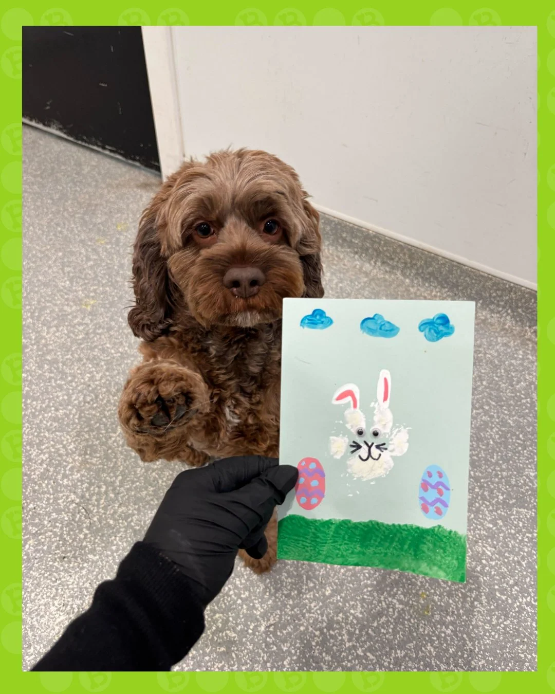 Somebunny got creative today 🐰🎨💕

At bark! bark!, daycare isn&rsquo;t just playtime, we keep things fun and enriching with a variety of rotating crafts your pups can be part of 🐾 From seasonal keepsakes to everyday paw-print art, there&rsquo;s al