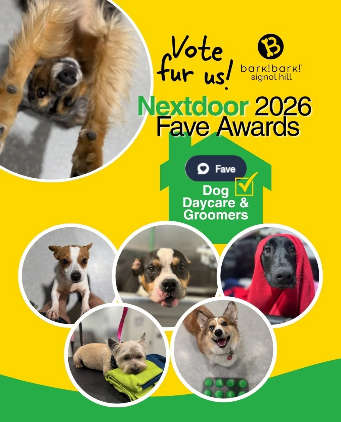Make us your 💟 in the @nextdoor 2026 Fave Awards! 

Head to our bio and follow the link to give us your vote! ✅

#barkbarkdaycareandgrooming #wherecooldogsgo #nextdoor2026fave #voteforbarkbark #signalhill