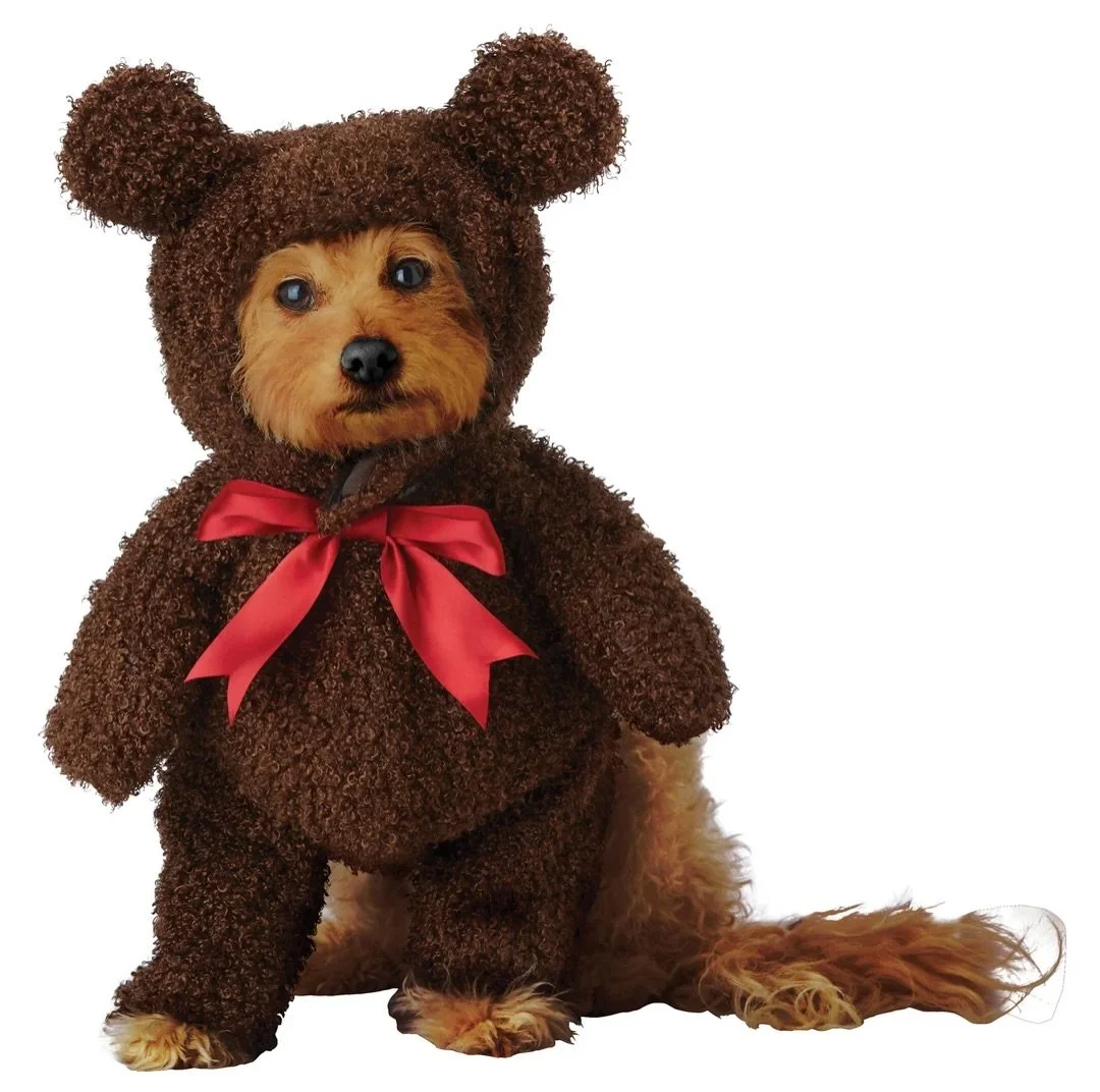 The cutest Howloween costumes have arrived! 👻

Swing by @barkbarkbelmontshore or order online @ shopbarkbark.com

#barkbarkboutique #wherecooldogsshop #dogcostumes #howloweenparty #shoplocal