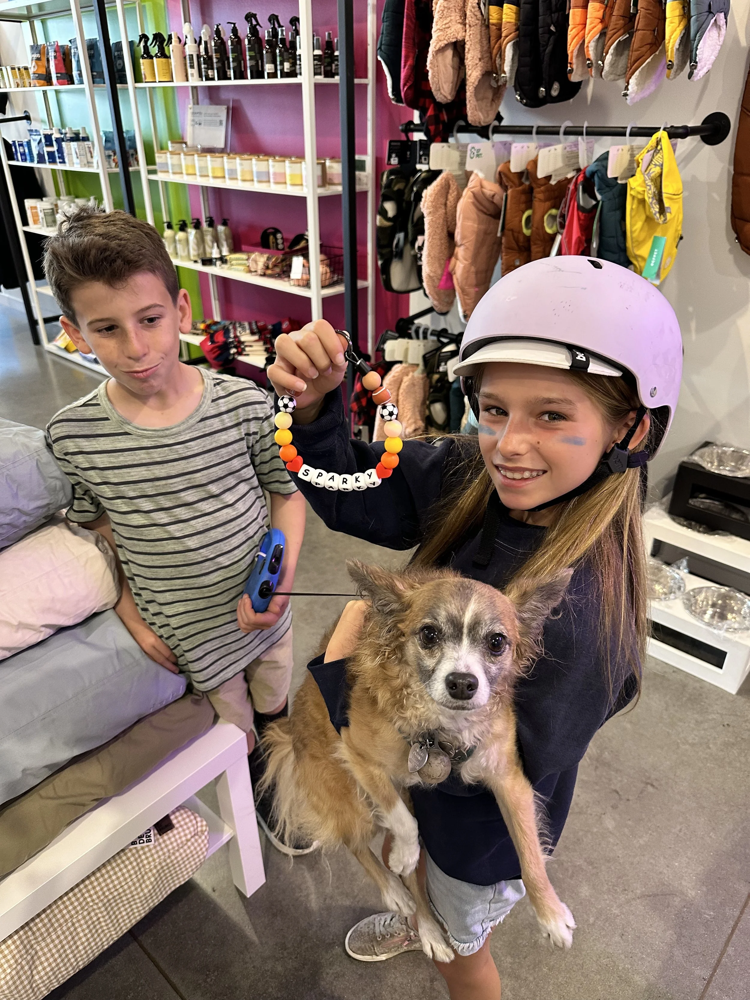 dog collar dog beaded collar Long Beach Ca 