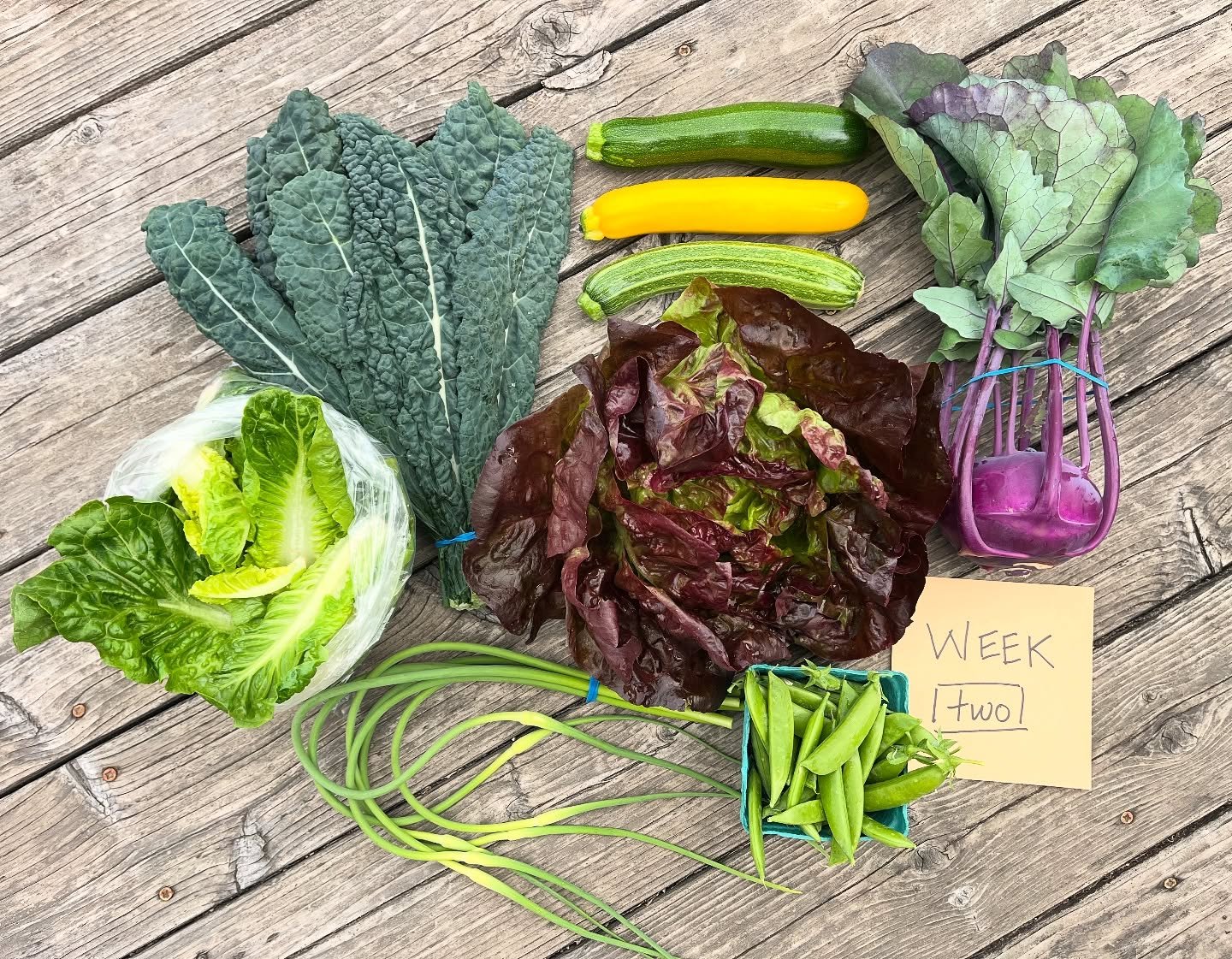 CSA WEEK 2 of 22

box contents:

FULL SHARE
little gems romaine
red butter lettuce
lacinato kale
sugar snap peas
zucchini
purple kohlrabi
garlic scapes

HALF SHARE
little gems romaine
lacinato kale
zucchini
purple kohlrabi

pick-ups:

WEDNESDAY 6/11
