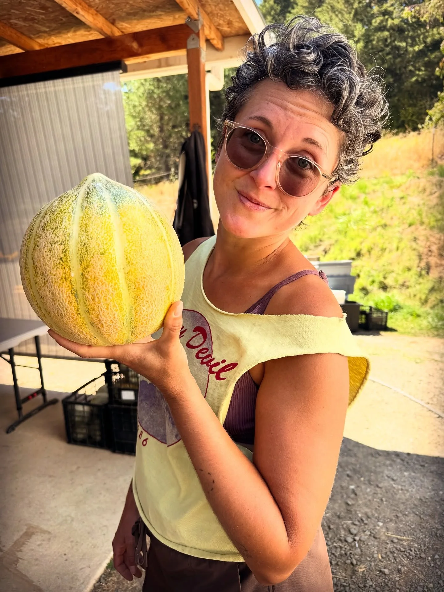 🍈 it’s about time we introduce y’all to the MONTREAL MELON!! last fall, we were strongly encouraged to grow this heirloom muskmelon by our melon-obsessed friend, dave, who hails from vermont and heard tell the lore of this infamous quebe