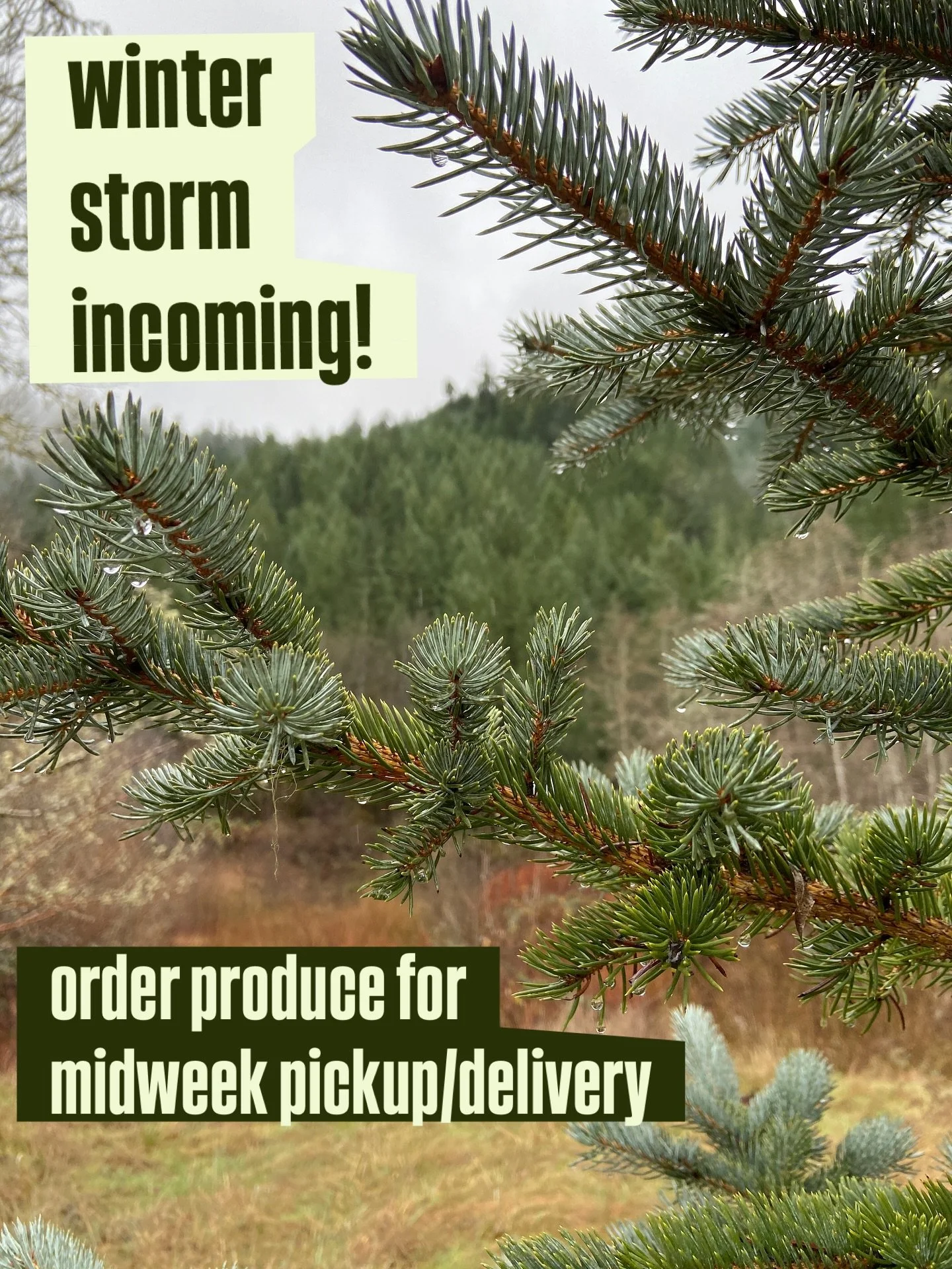 local lovelies! as long as the current weather forecast holds for this weekend (we’re talkin’ atmospheric river, folks!), we will likely NOT BE VENDING AT THE FARMERS MARKET ON SATURDAY!!!
so please secure your groceries for the week now