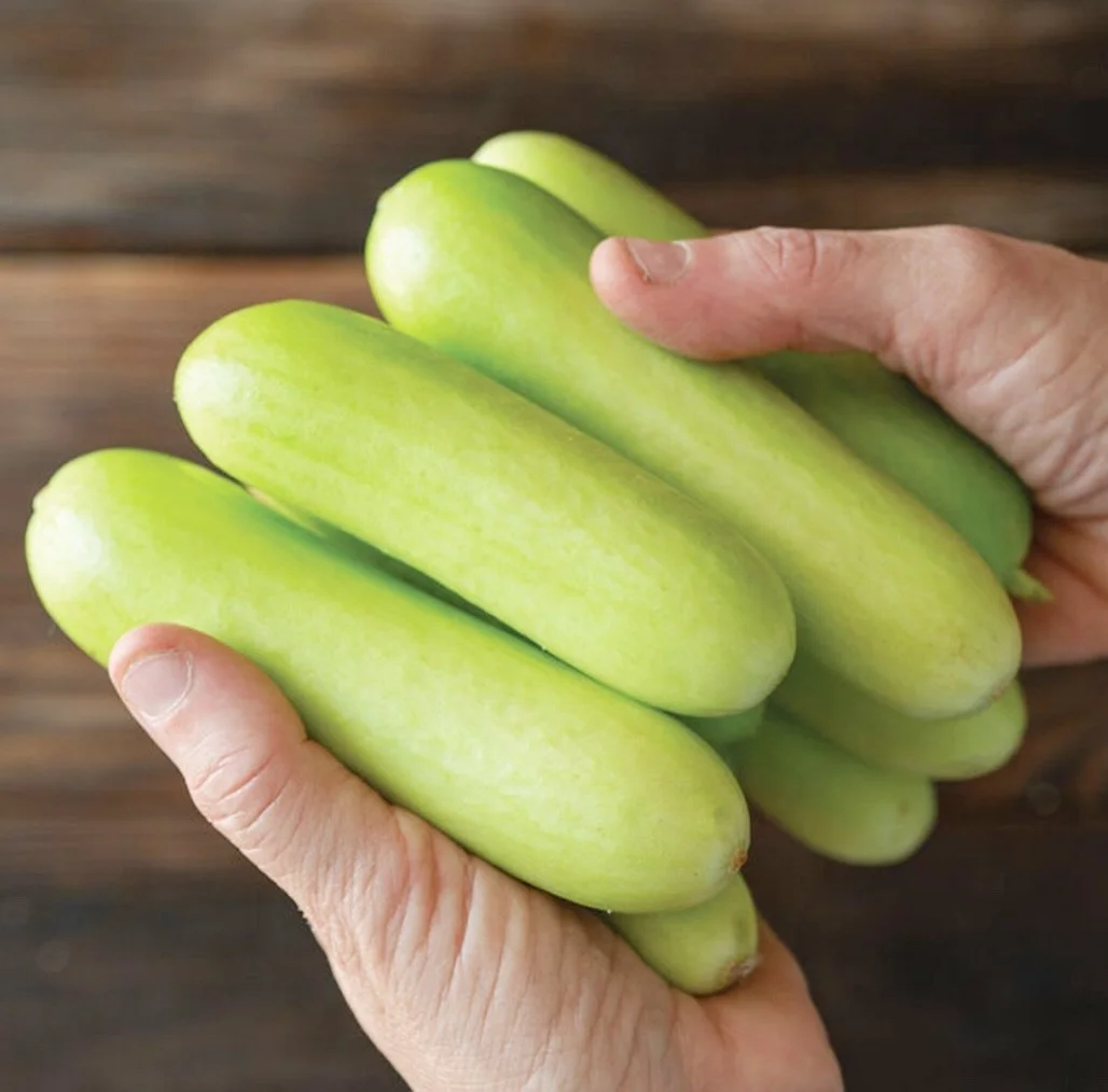 it&rsquo;s that time of year again! we just submitted our seed orders and are dying to share with y&rsquo;all the tantalizing chosen new varieties of fruits and vegetables we have in store for you this season!

GIMLET CUCUMBER 🥒 mini lime green munc