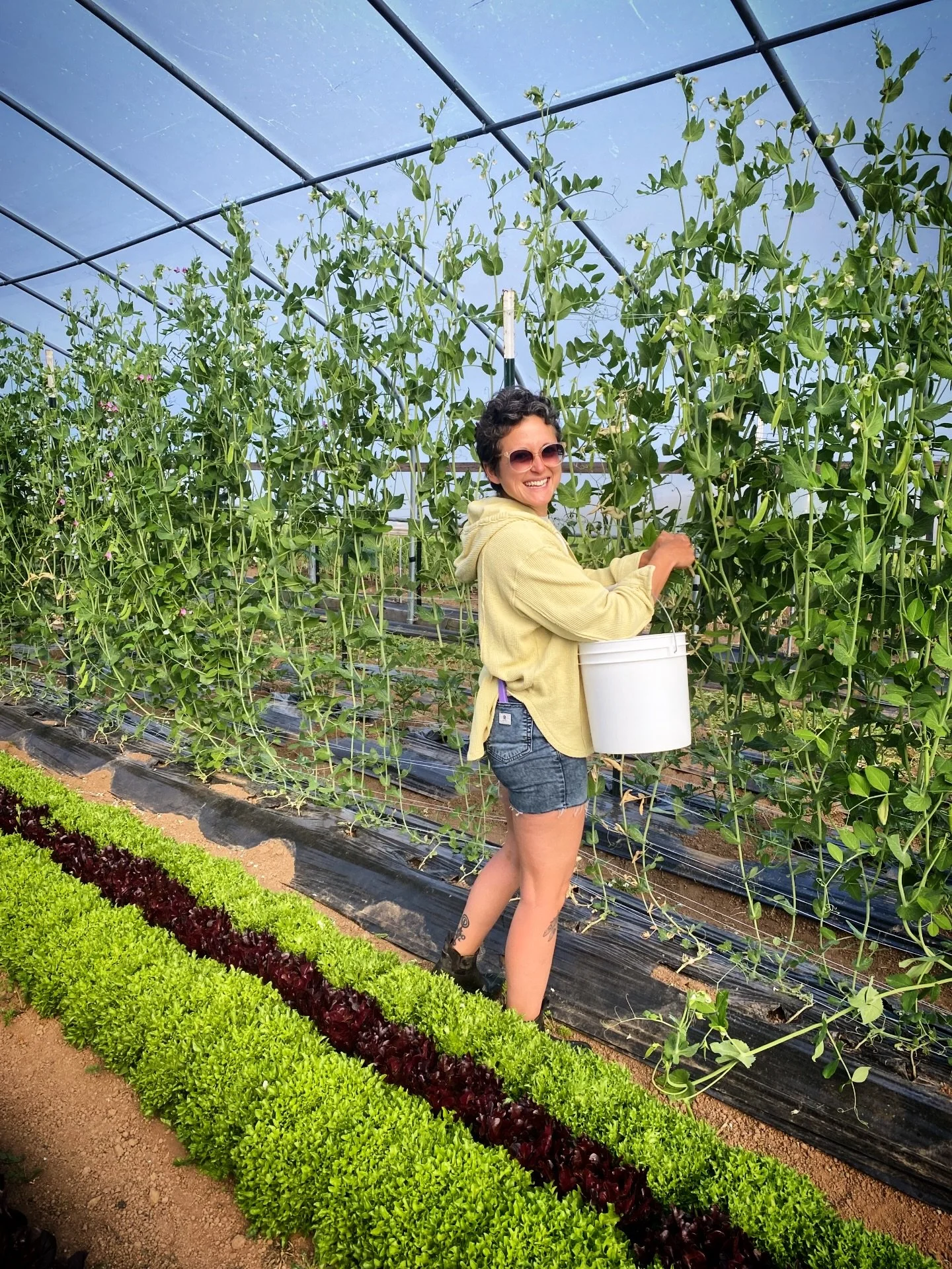 ISO: FULL TIME FARM HAND (&hellip;again)
life threw us a curve ball, so we are suddenly in need of another staff member to help out on the farm this year! 
🧑&zwj;🌾 do you or someone you know love to work outside, get dirty, learn invaluable skills 