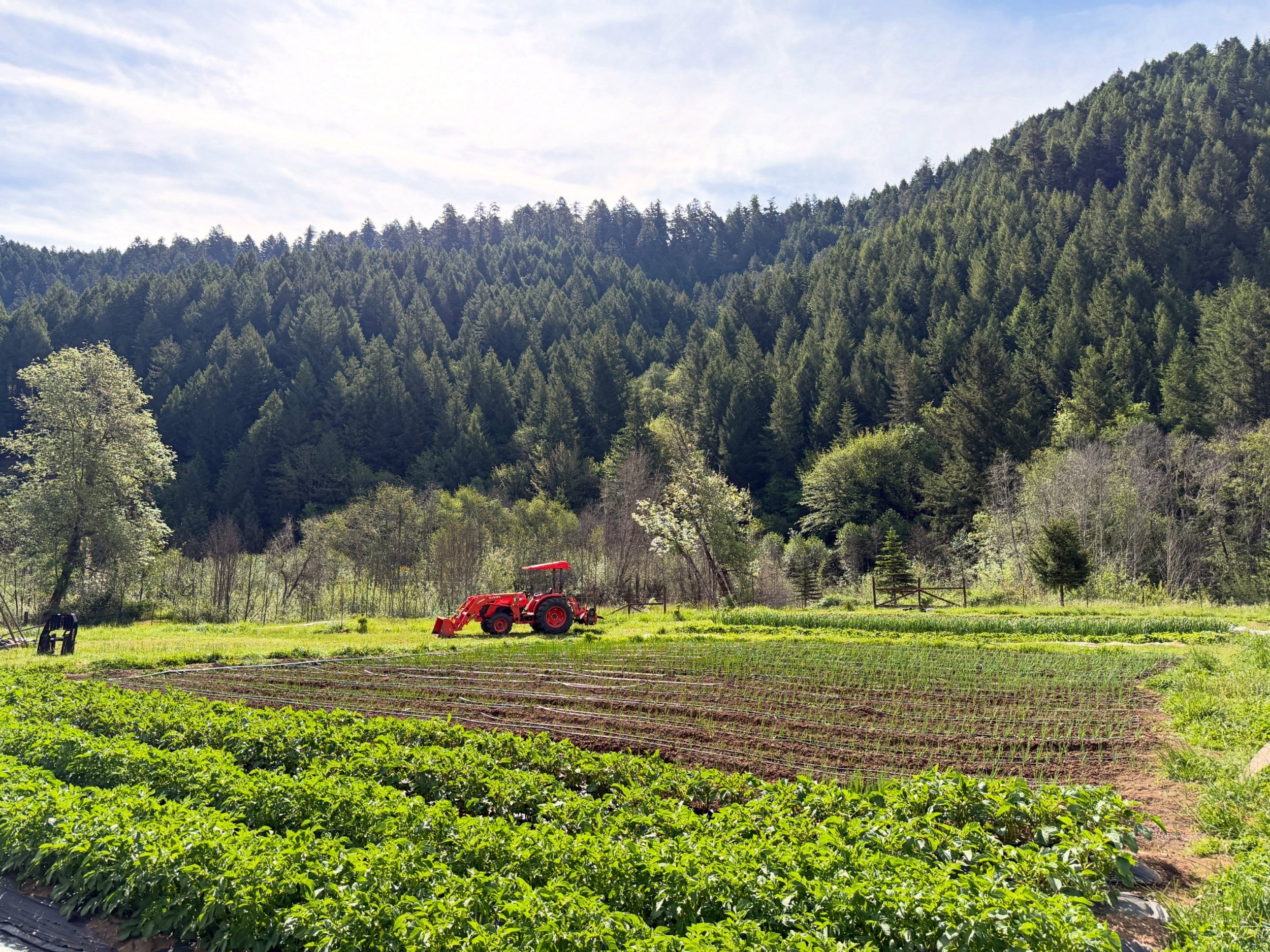 we haven&rsquo;t been especially loud about it because it&rsquo;s almost a too-good-to-be-real *pinch me* kind of situation, but matt&rsquo;s farmer dreams finally came true this spring and we joined team kubota 🧡

this is a huge leap of faith for a