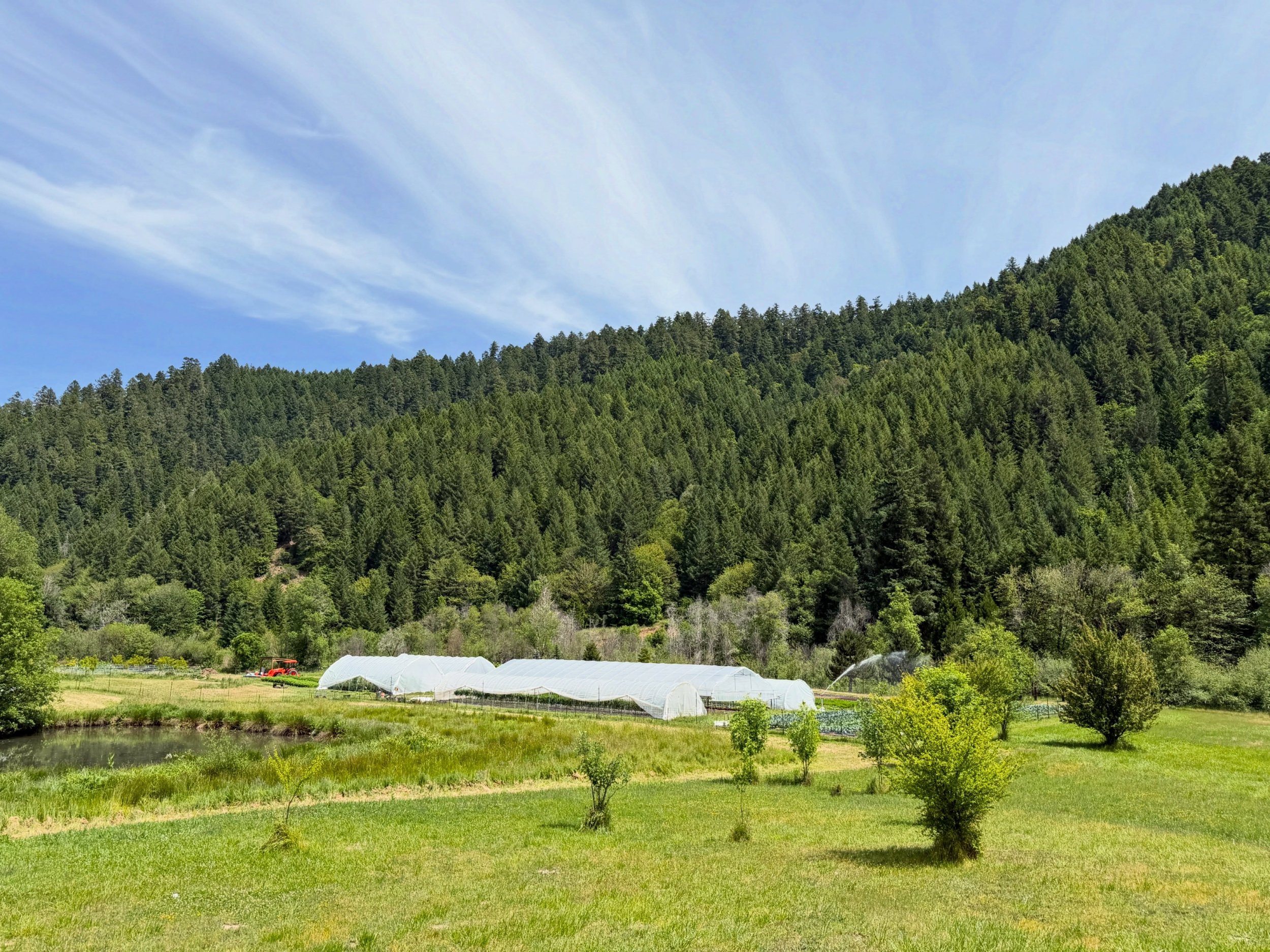 it&rsquo;s a glorious june day here on the farm!
the birds are chirping, the irrigation canon is firing and the humans are bustling about gathering things together for @canyonvillefarmersmarket tomorrow!

REN&Eacute;E&rsquo;S LIST @uneven_ground_farm