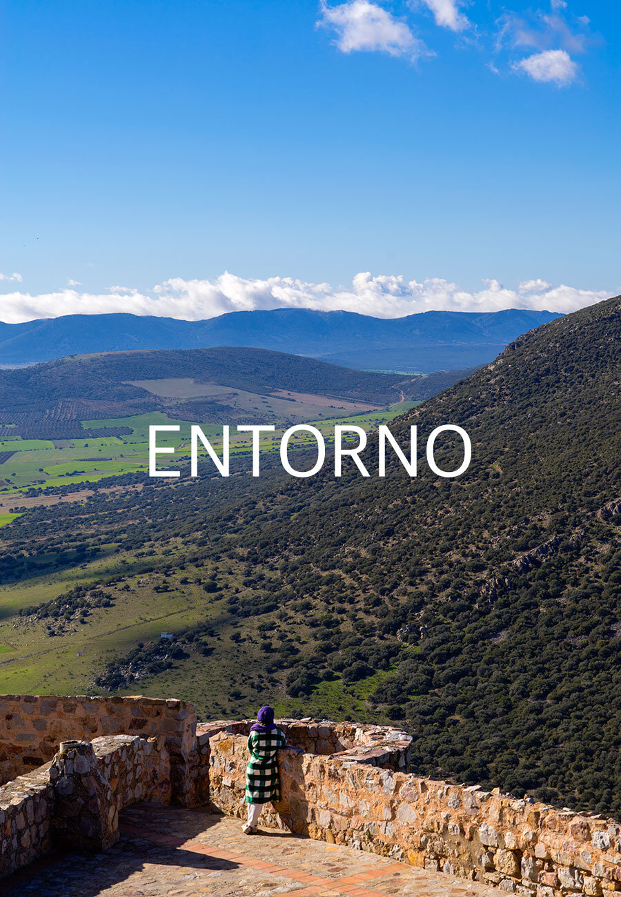 ENTORNO