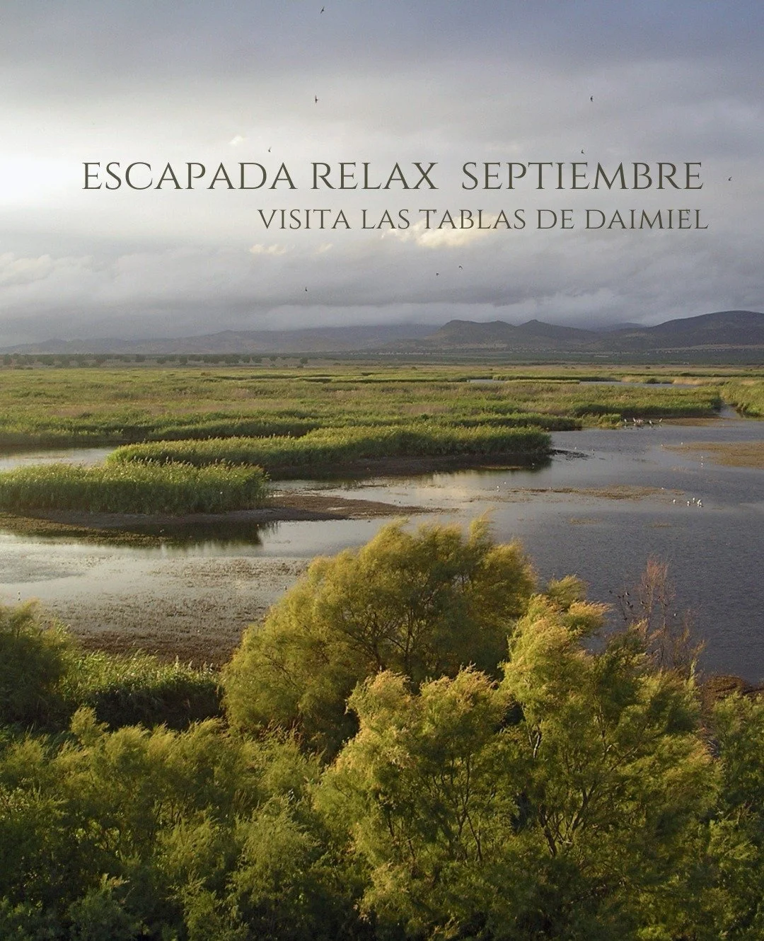 Septiembre de Escapadas, a&uacute;n es verano pero las temperaturas son mas suaves, hay una luz especial , la luz de Septiembre y es un mes perfecto para visitar Las Tablas de Daimiel y perderte entre sus pasarelas de madera sobre el agua y quedarte 