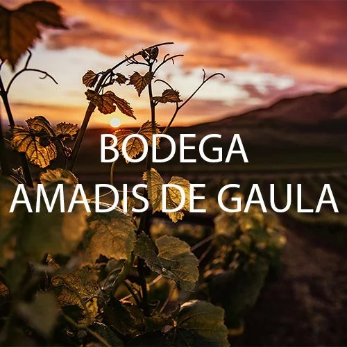 Bodega de vinos Amadis de Gaula