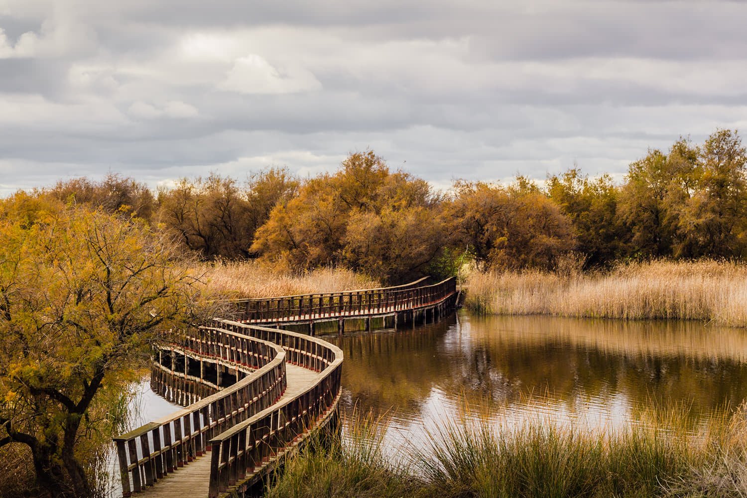 Parque Nacional Las Tablas de Daimiel en invierno, excursión cercana a La Casa del Rector, Almagro