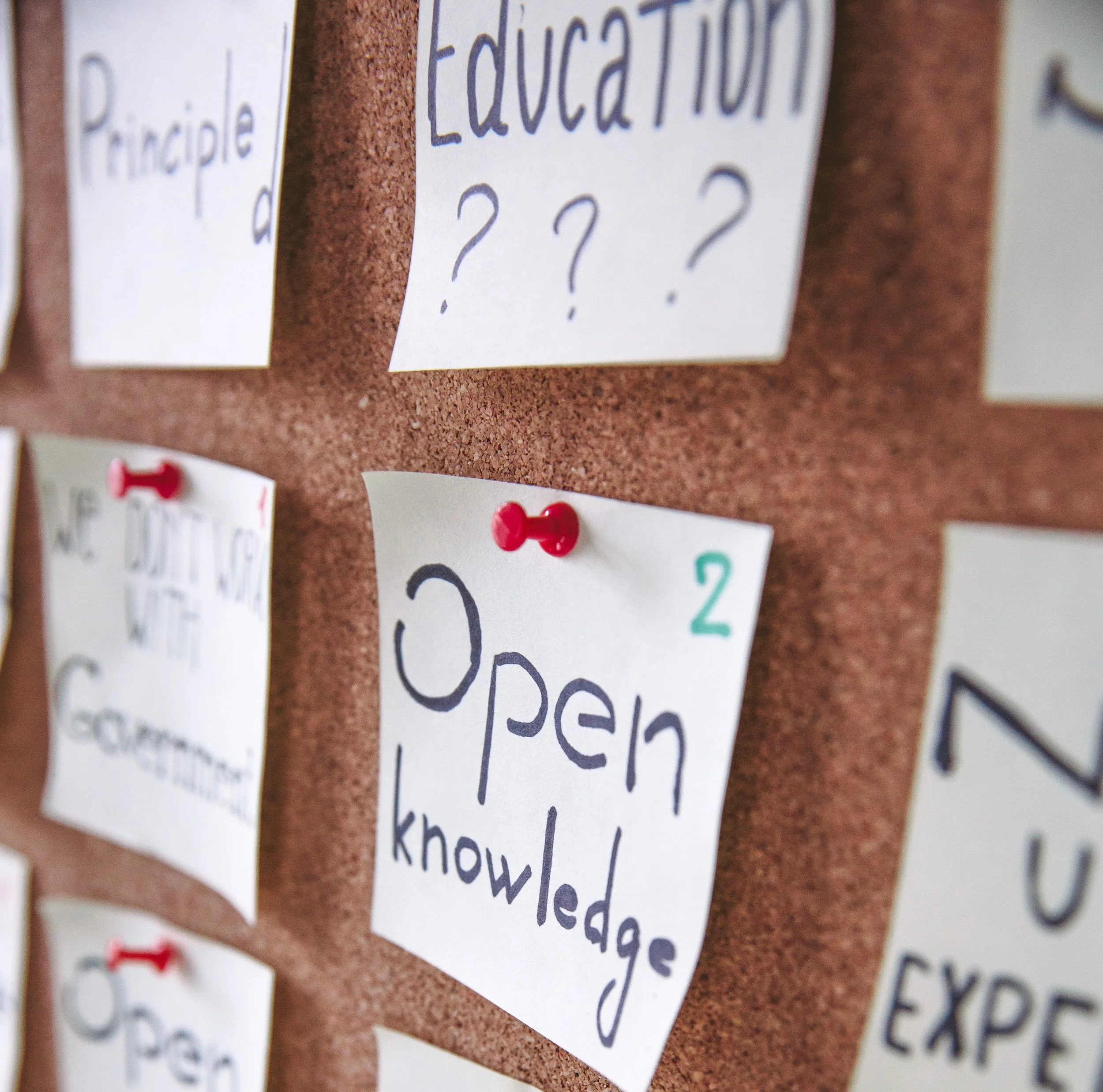 Community education guides social justice reform