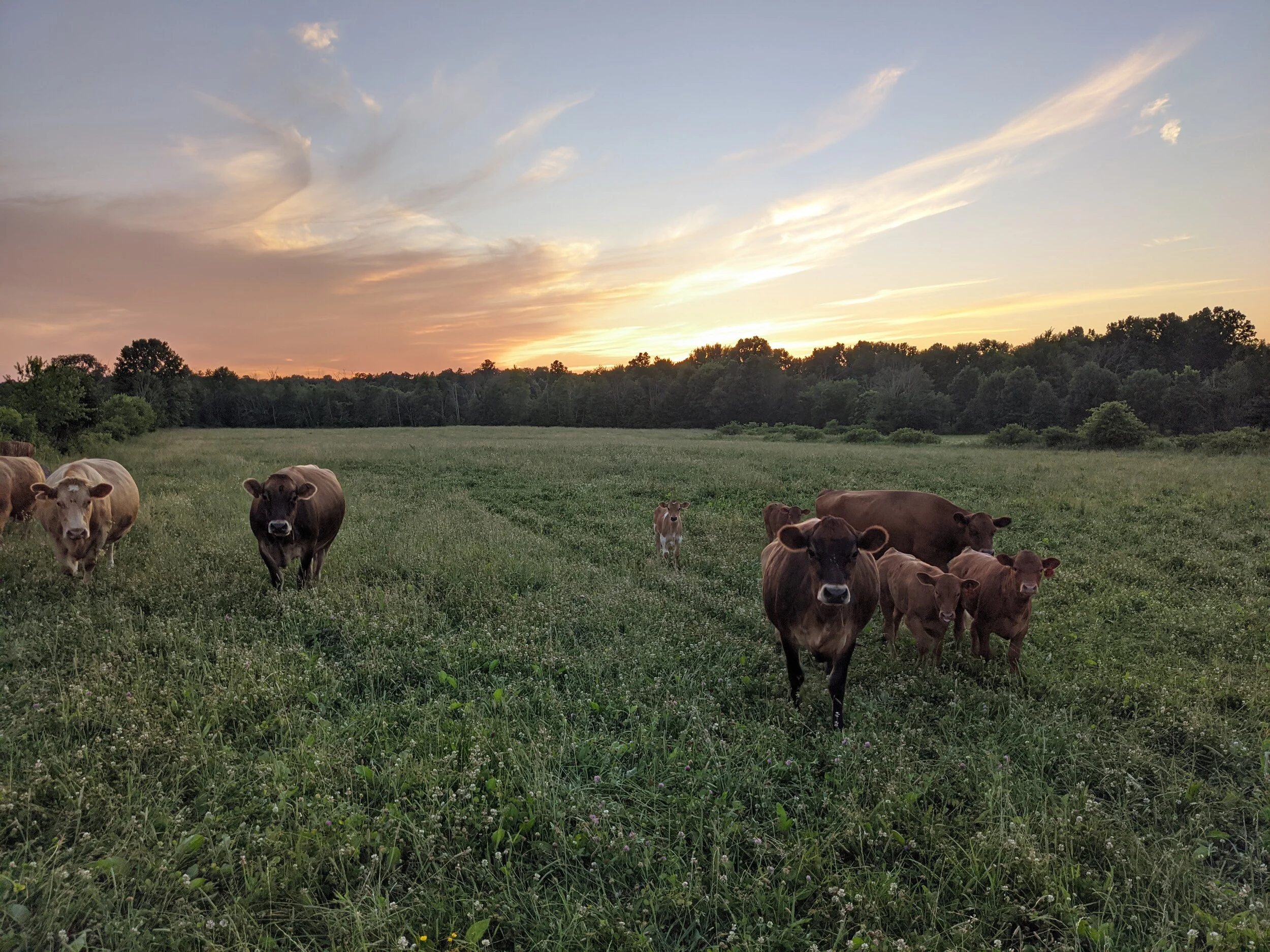 Brockett Family Farm