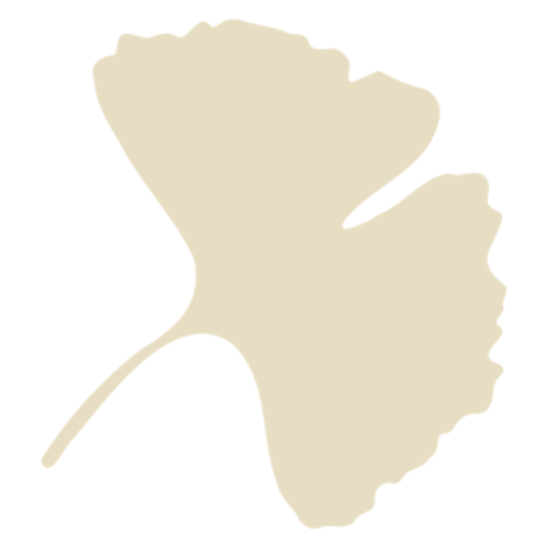 A beige silhouette of a ginkgo leaf on a black background.