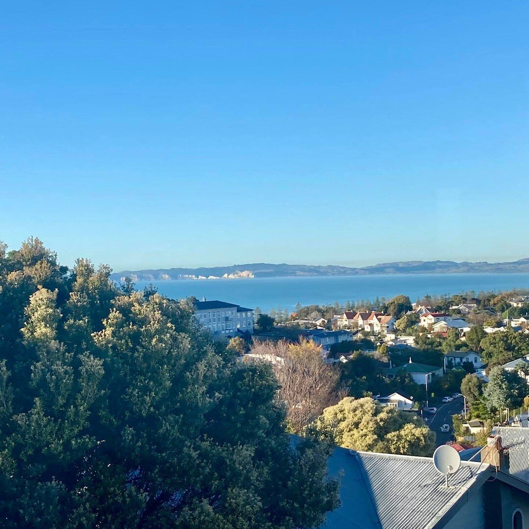 After a bit of a chilly start this morning ☃️❄️ it has turned into such a beautiful day 🌻
Happy Friday! 💁🏼&zwj;♀️

#kingbcleaning #hawkesbay #hawkesbaynz #hawkesbayallday #hawkesbayofficial #greatthingsgrowhere #napiernow #napiernz #hastingsnz #ha