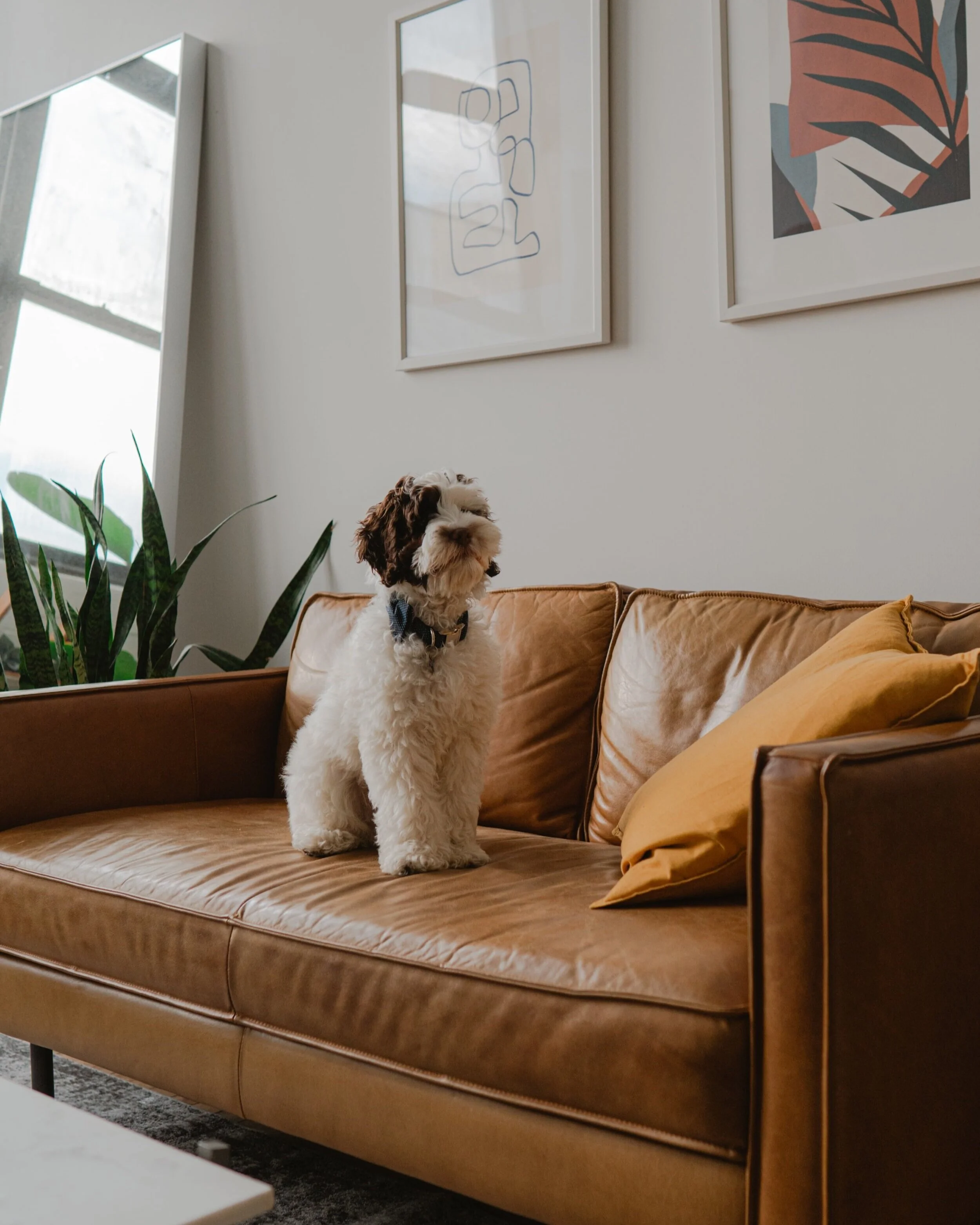 Port Moody Rentals A Building to Call Home — The Moody Rentals