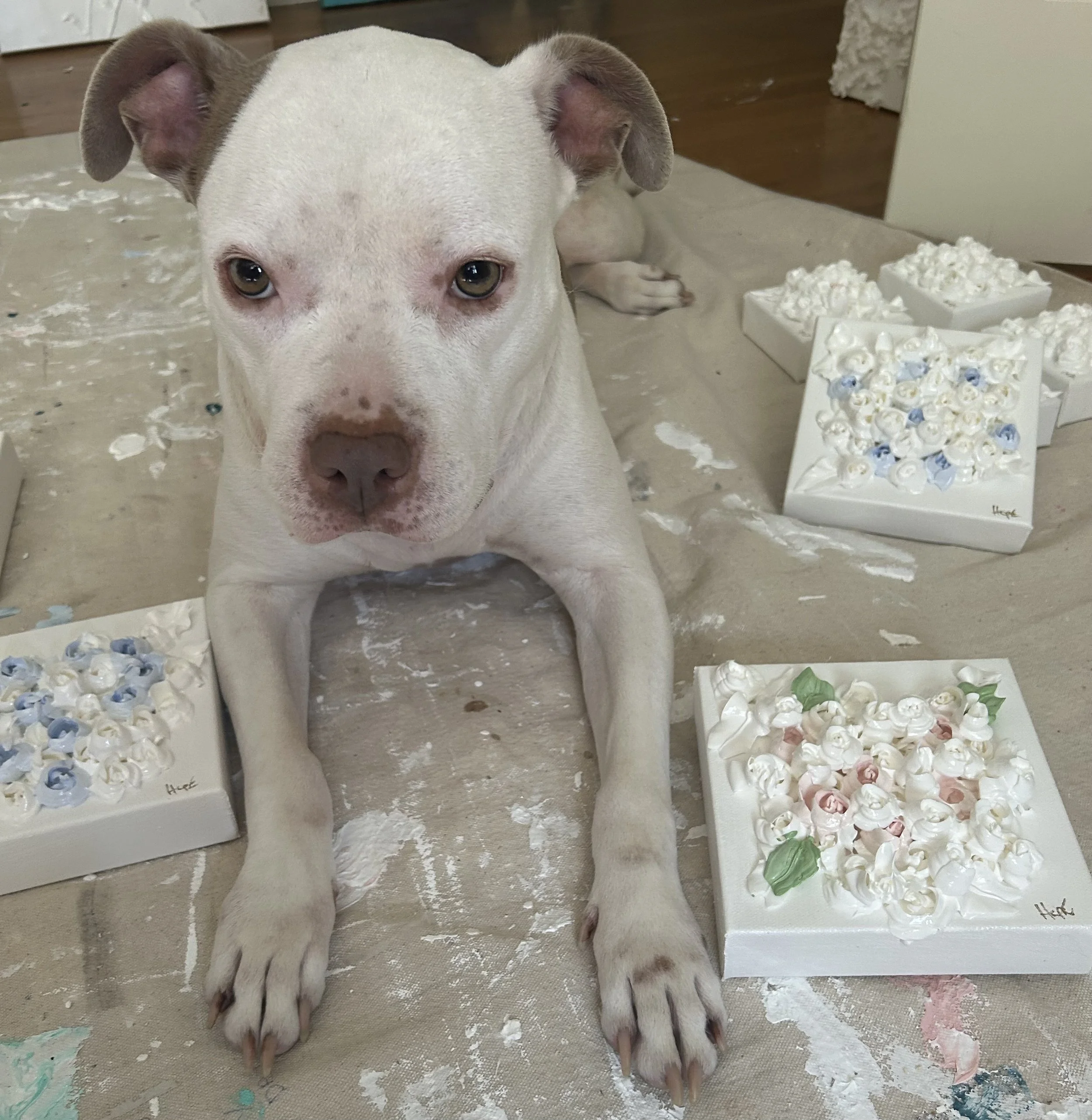Sweet Pea is my fabulous assistant! Thanks to Jackson County Animal Shelter she is our new pup!