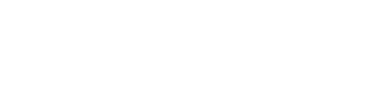 NVDECS Foundation