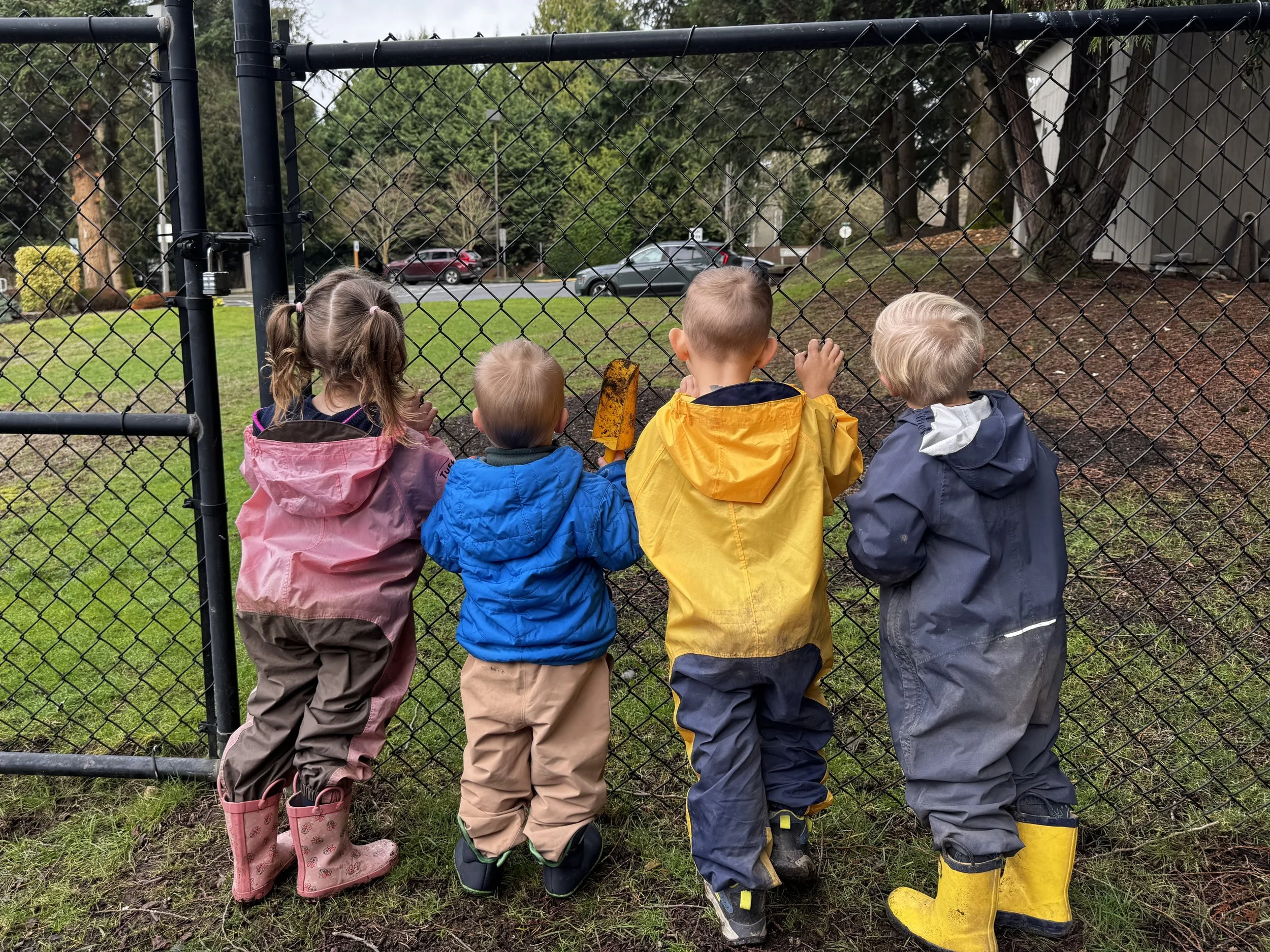 Twinkles looking through the fence.jpeg