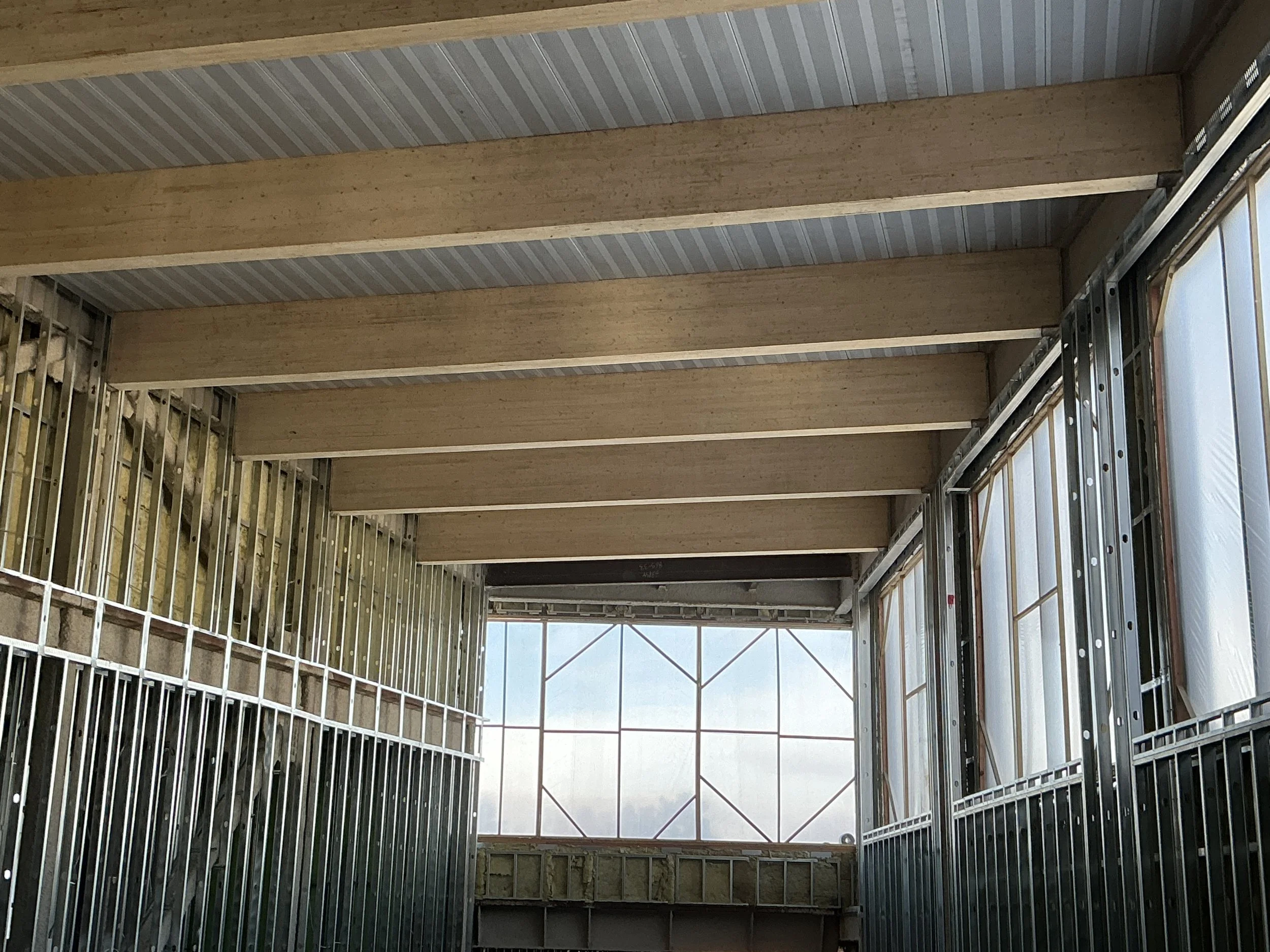 2026-1-8 DB (26).jpeg