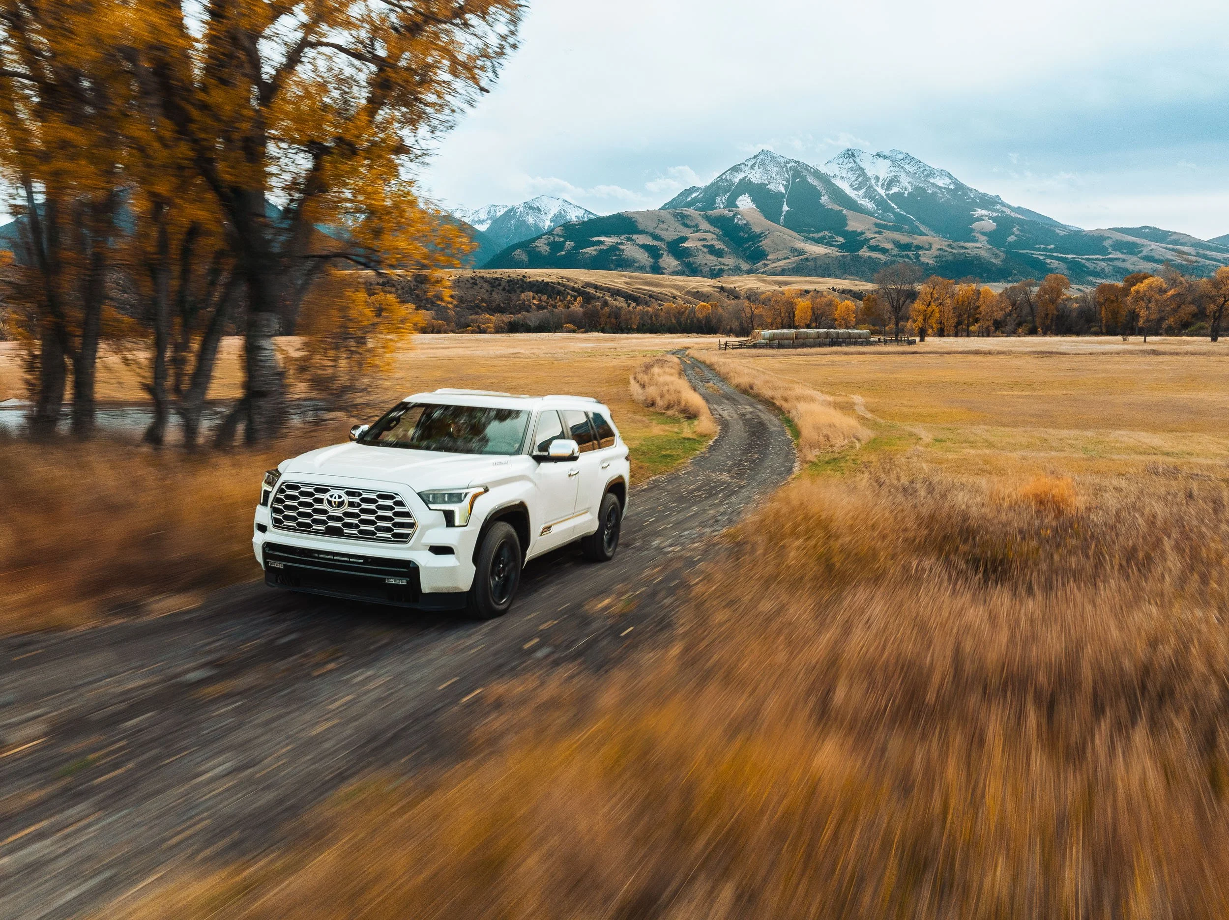 DJI_20241022080909_0025_D_MAD-Edit.jpg
