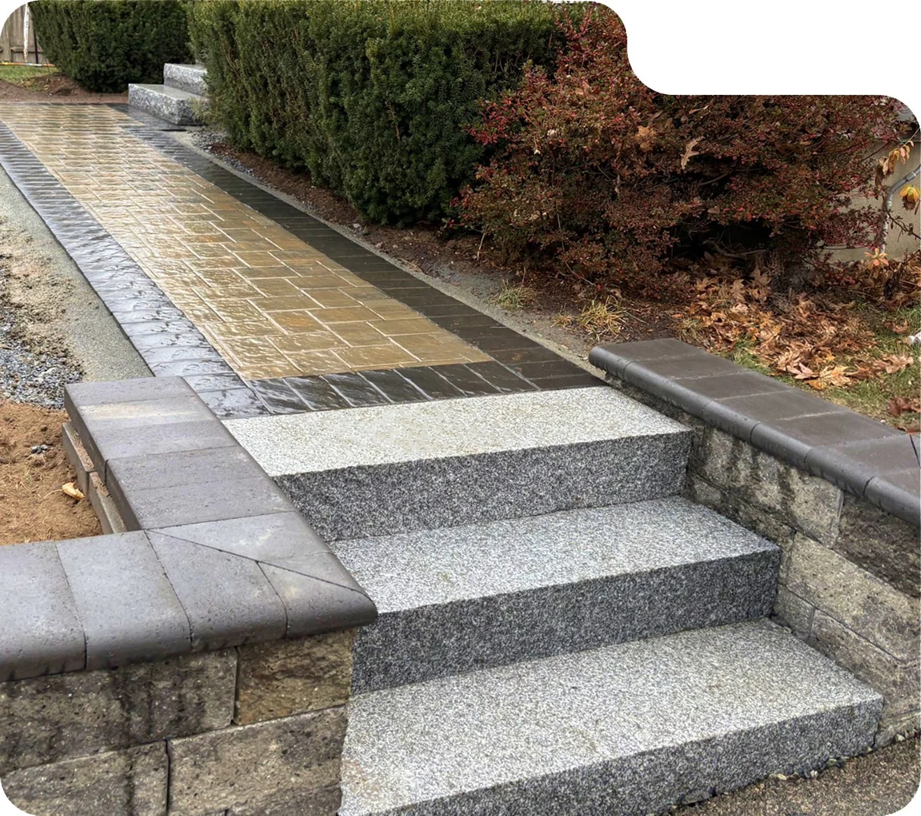 Concrete steps and walkway in front of a landscaped area with bushes and fallen leaves.
