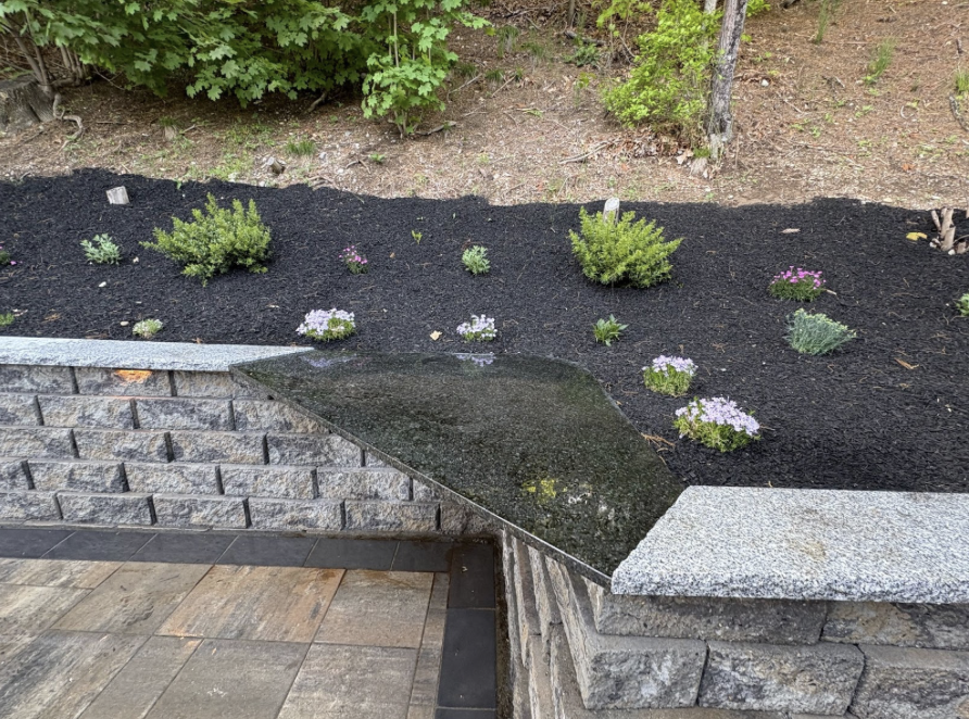 A landscaped garden bed with small bushes and flowering plants near a stone retaining wall and patio.