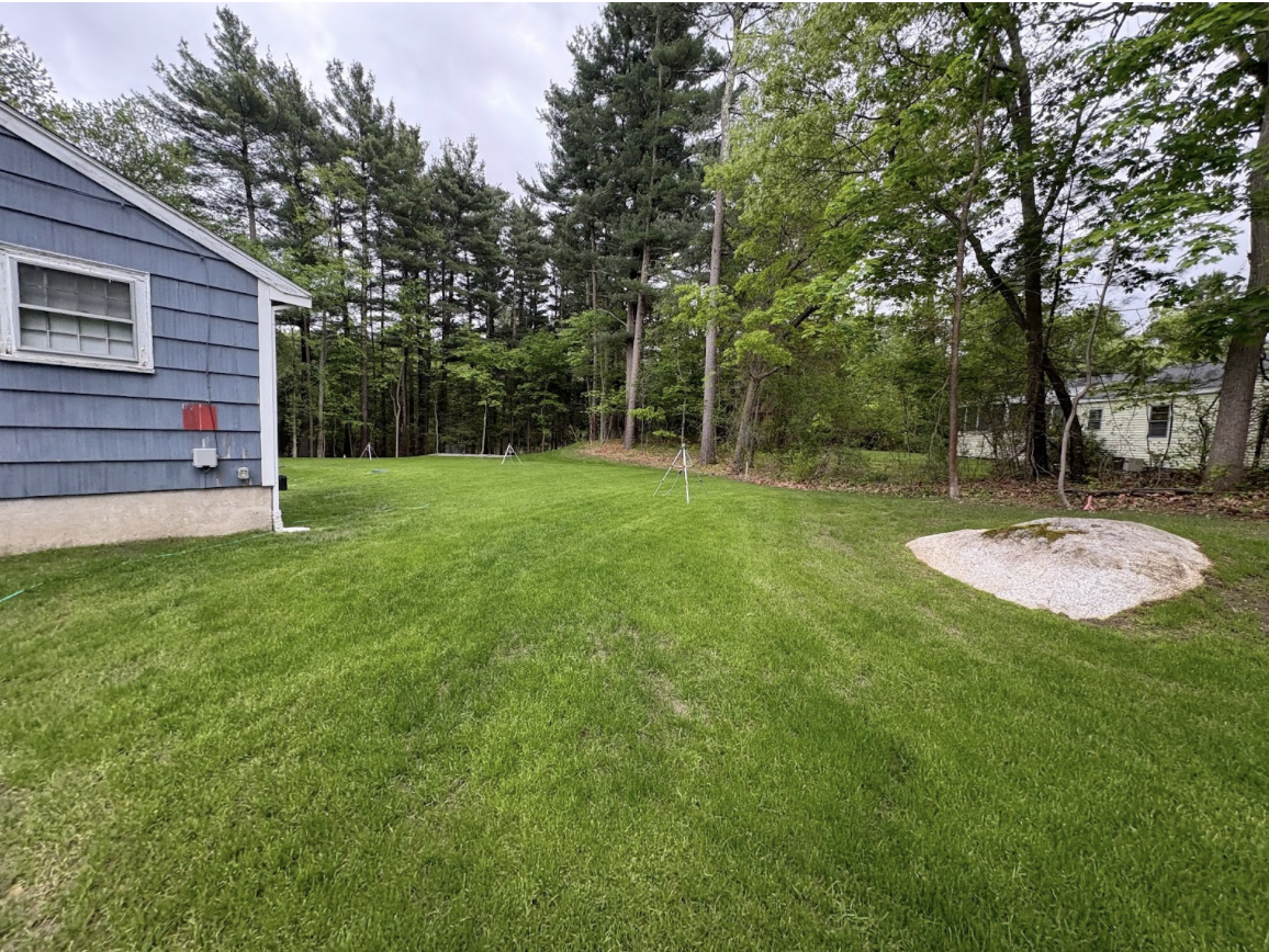 Green backyard with trees, a blue house on the left, a rock, and a white building partially visible on the right, overcast sky.