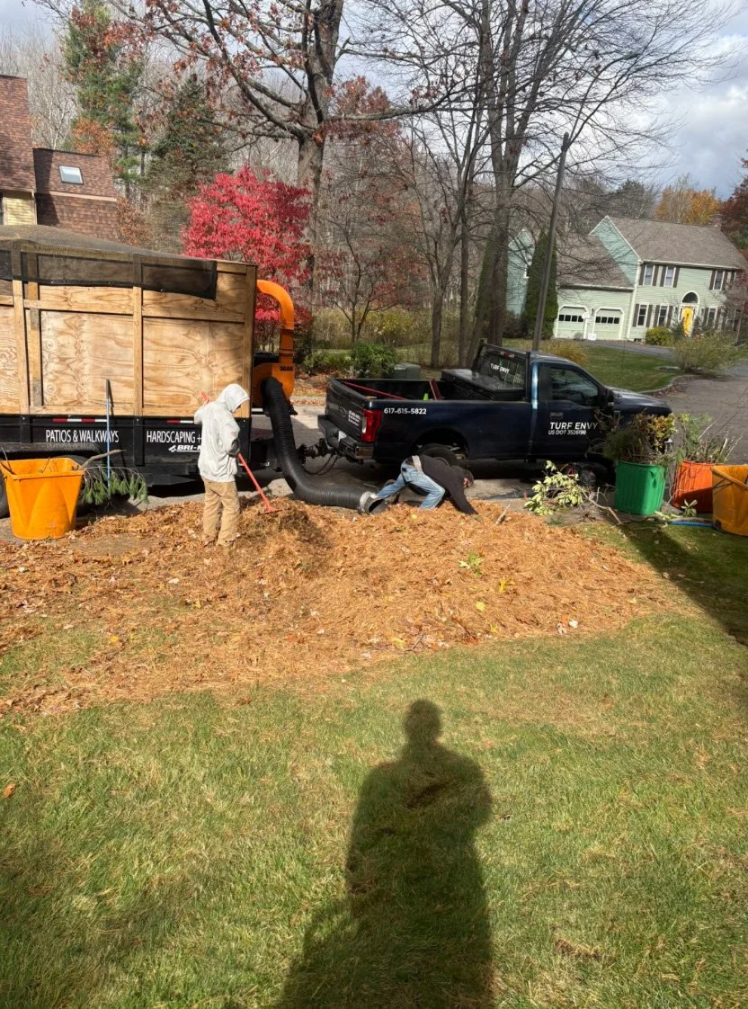 People working in a backyard, using a vacuum system connected to a truck to remove leaves and yard debris, with trees and houses in the background.