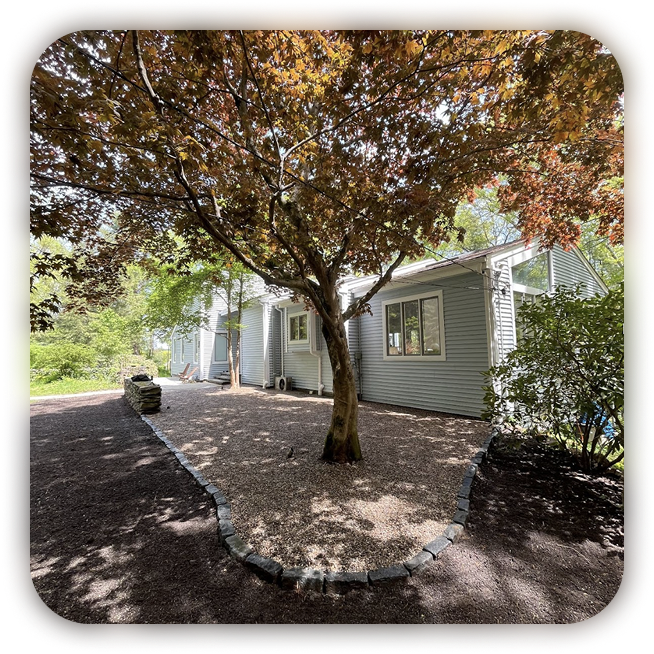 A backyard with a large tree and a house with light blue siding, surrounded by a gravel pathway and some plants.