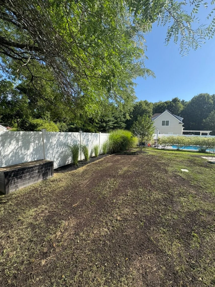 A backyard with a dirt patch, a white fence, some small trees and tall grass, a wooden bench, and a swimming pool in the background.