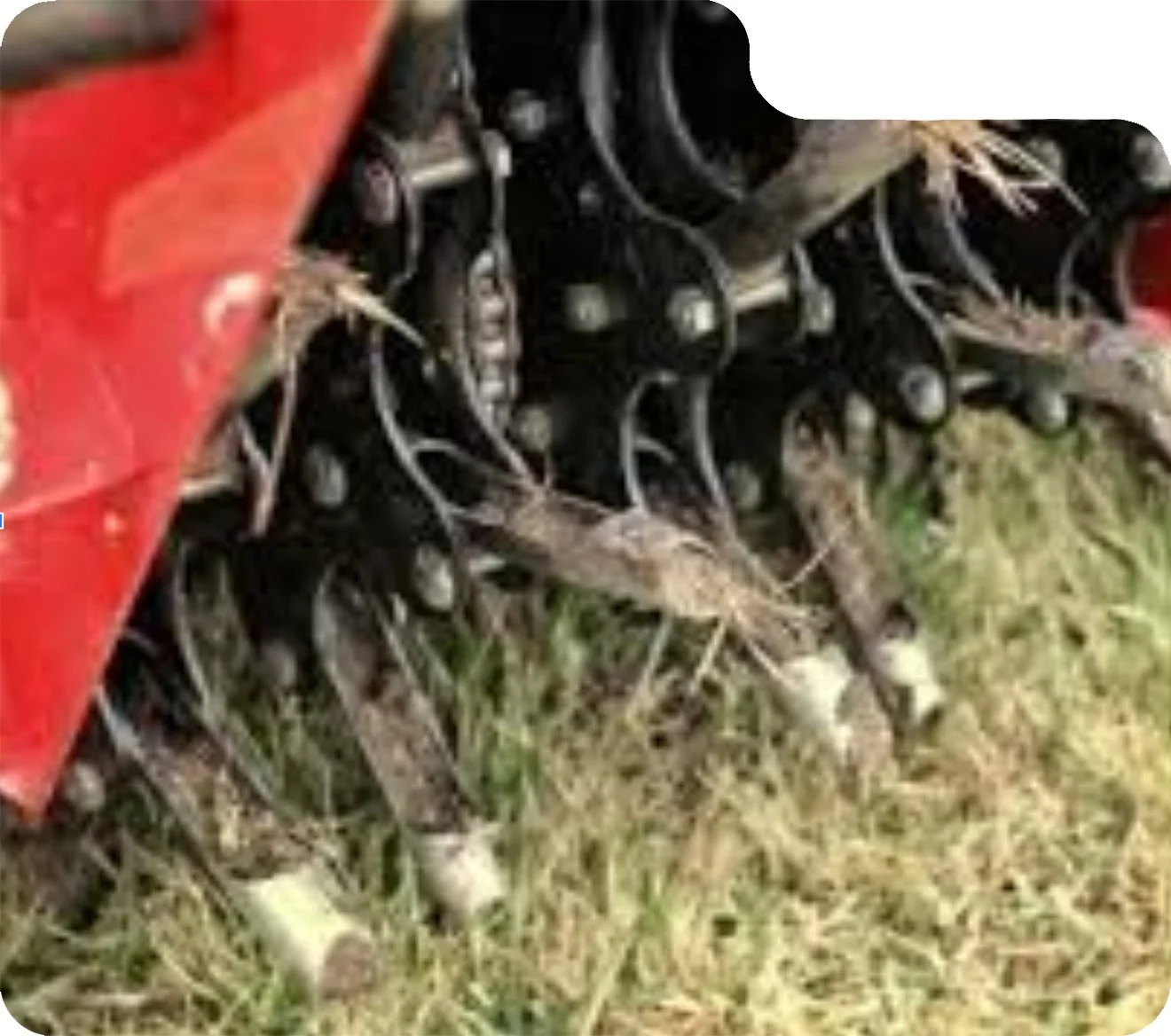 Close-up of black metal gardening tools with white handles on grass, partially covered by a red object.