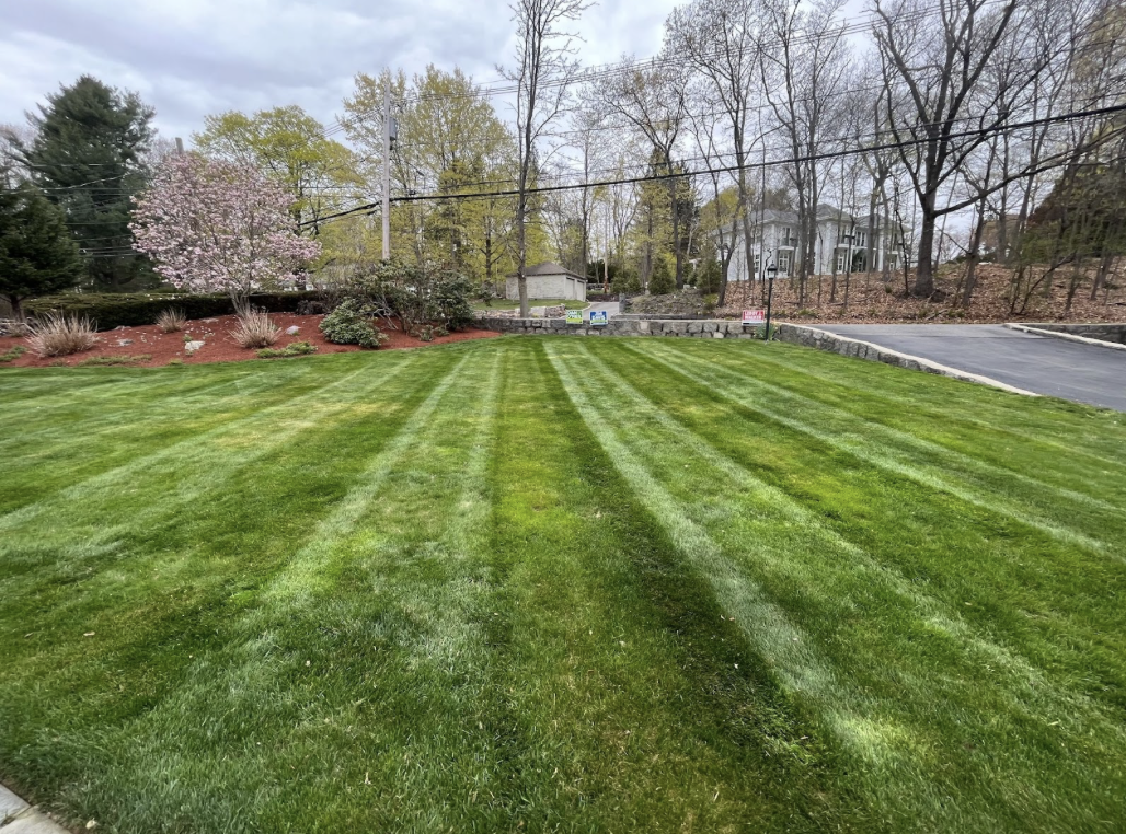 A freshly mowed green lawn with parallel stripes, surrounded by landscaped flower beds, trees, and a driveway with a basketball hoop.