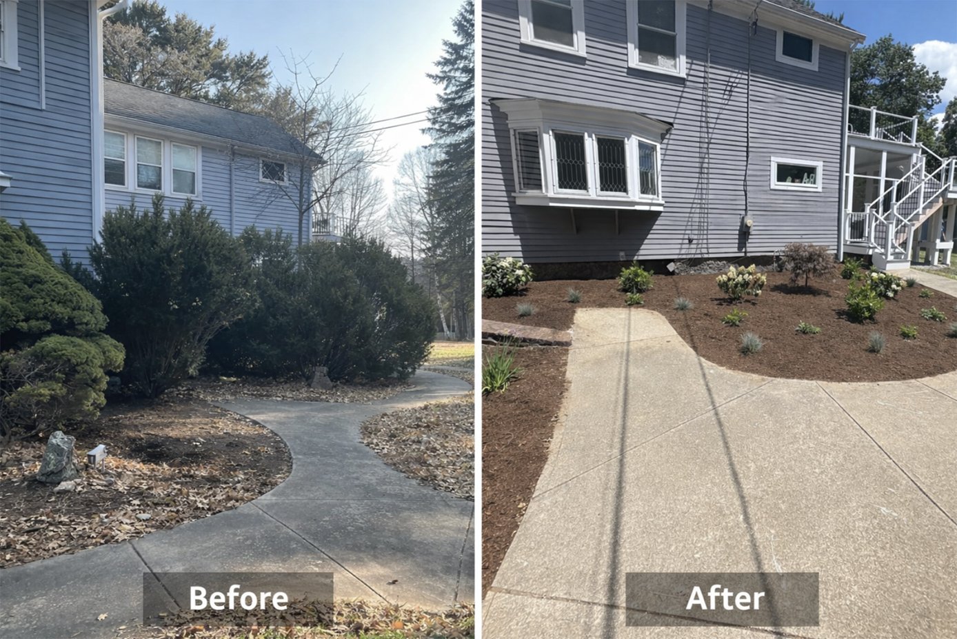Comparison of a house yard before and after landscaping. The before side shows overgrown bushes, leaf debris, and a bare sidewalk, while the after side shows a cleaned-up yard with new plants, fresh mulch, and a clean sidewalk.