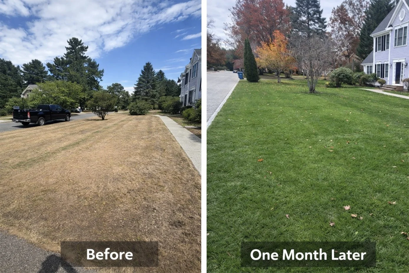 Side-by-side comparison of a yard before and after one month of landscaping. The left side shows a dry, patchy lawn with brown grass and a parked truck nearby. The right side shows a lush, green, well-maintained lawn next to a house with trees showing fall foliage.