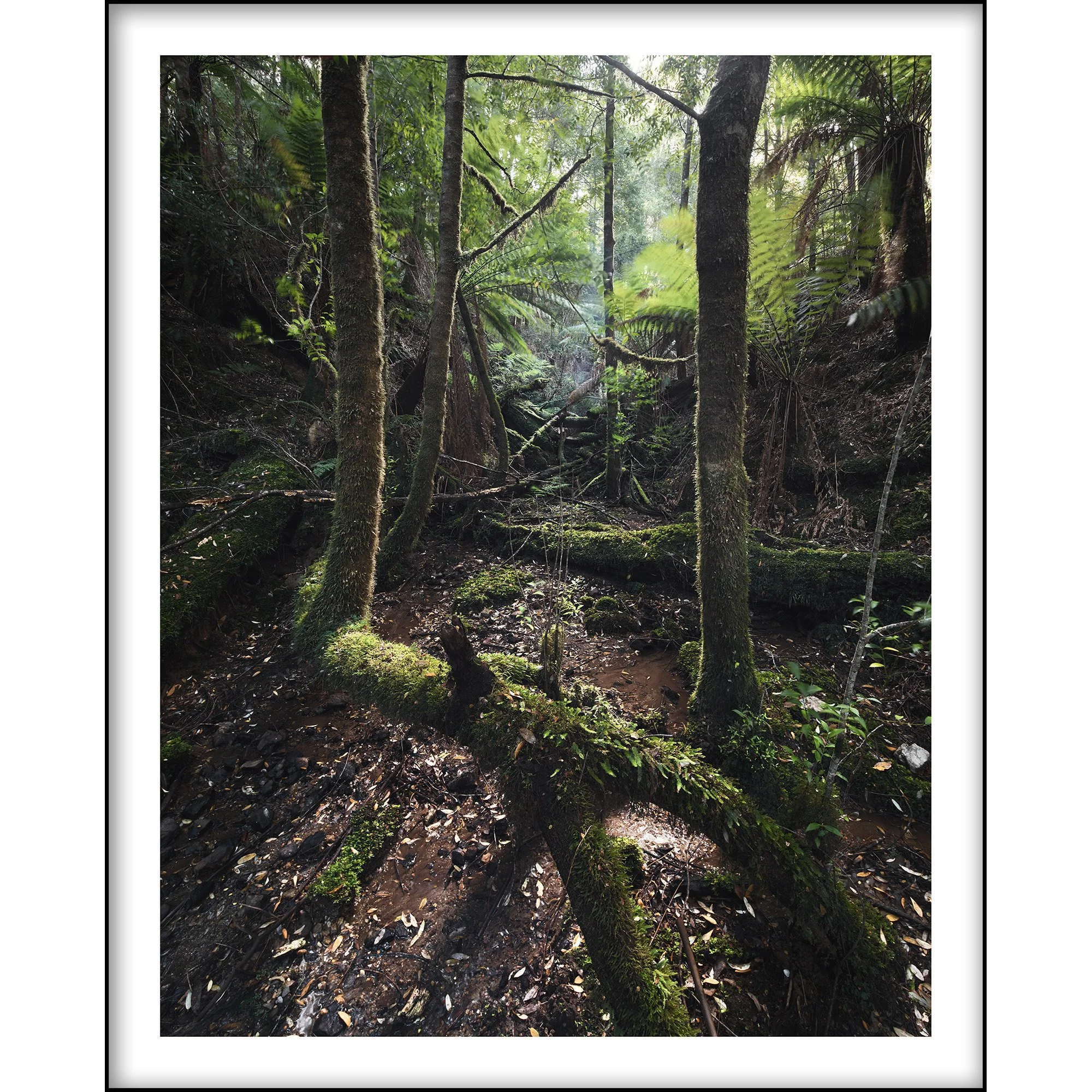 00094-Australia-MemoryOfFlow-LEFramed.jpg