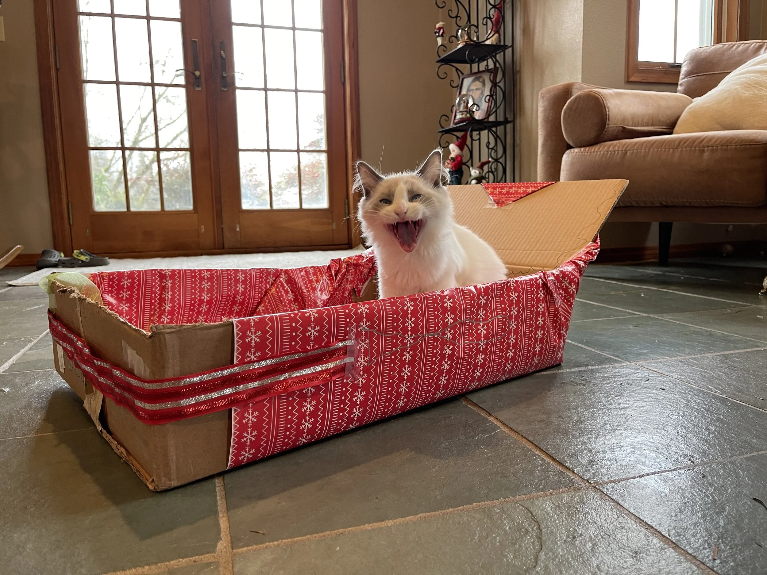 A smiling cat with an open mouth sitting inside a red and white Christmas-themed cardboard box in a living room with a tiled floor, a sofa, and glass doors in the background.