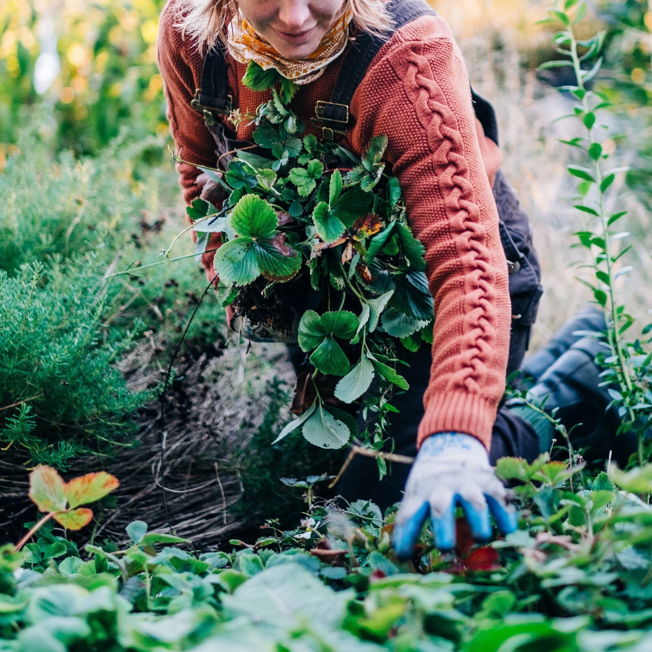 The Wonder and Magic of Soil
